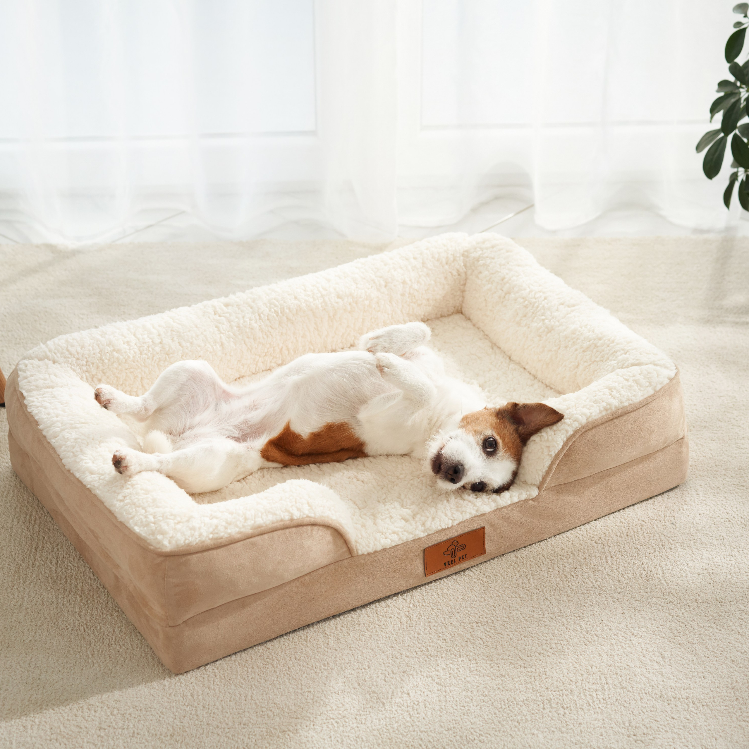 Client Reviews | Pet Photographer Anna Averianova. Dog Photographer Anna Averianova | Art & Commercial Pet Photography