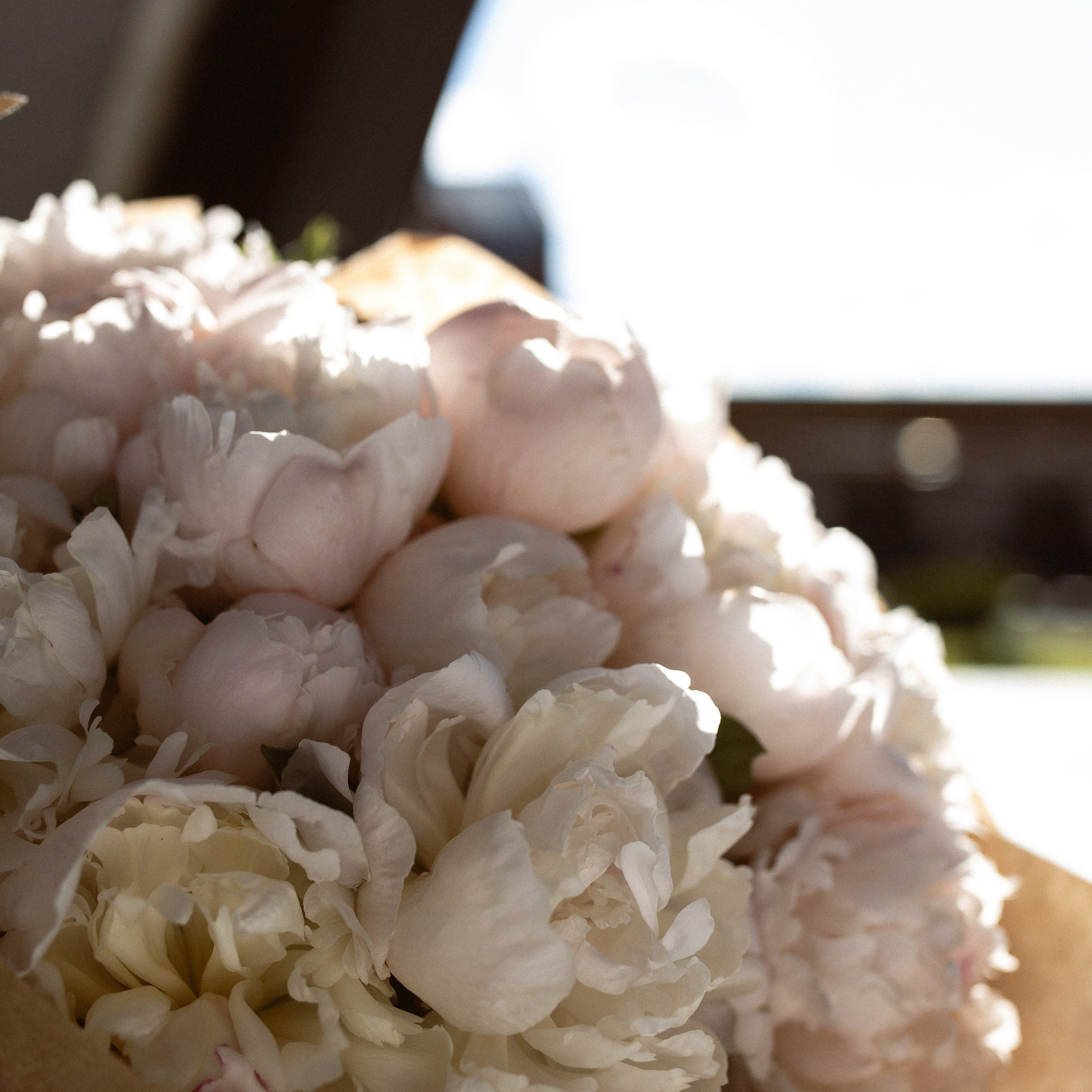 день рождения Марии