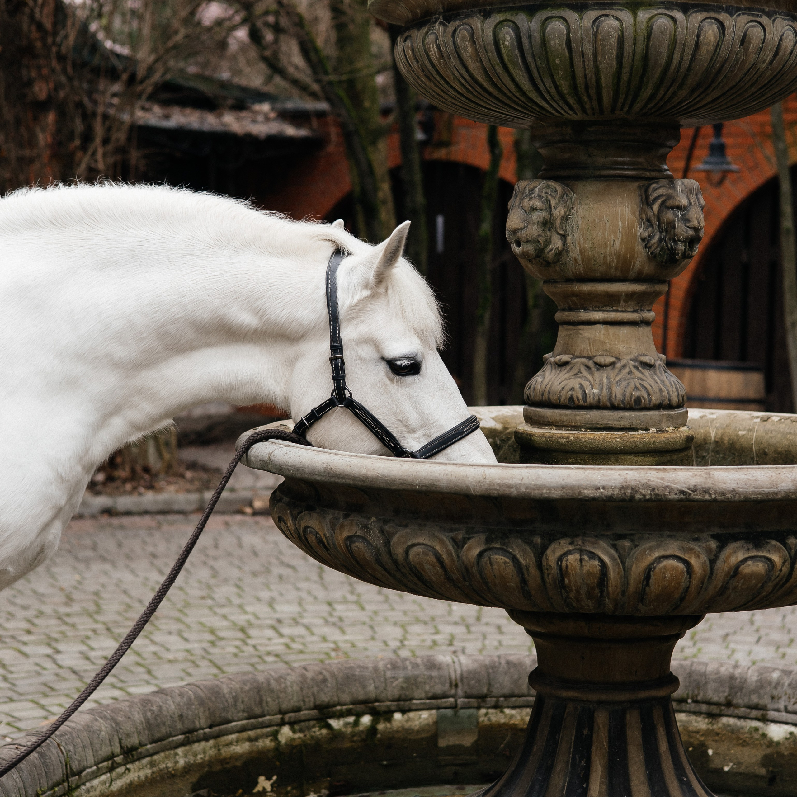 Ферма «Few Horses»