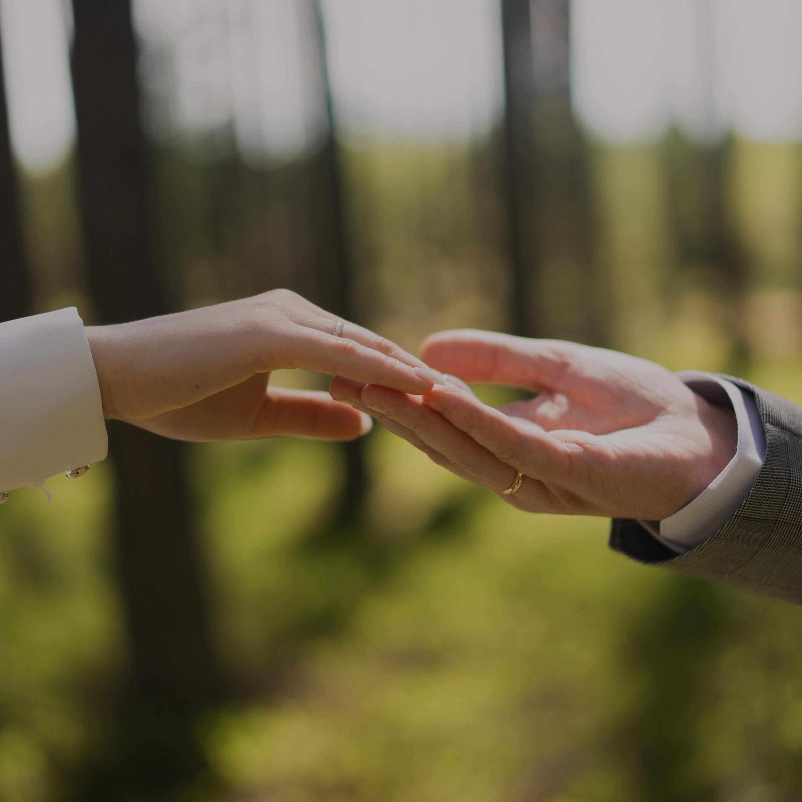 Анастасия и Максим