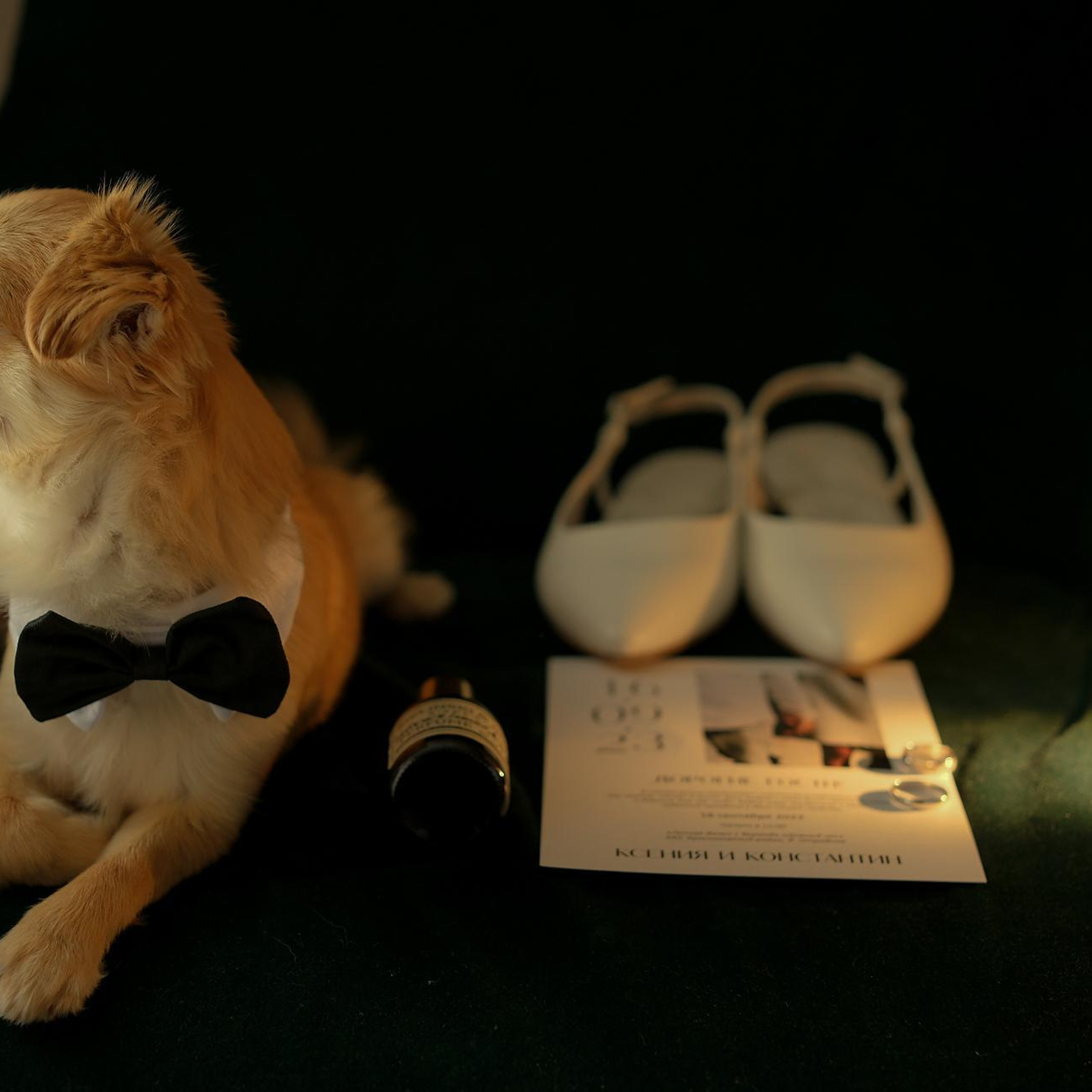 Отзывы Анастасия Исаева Фотограф Москва. Сентиментальная свадебная фотография