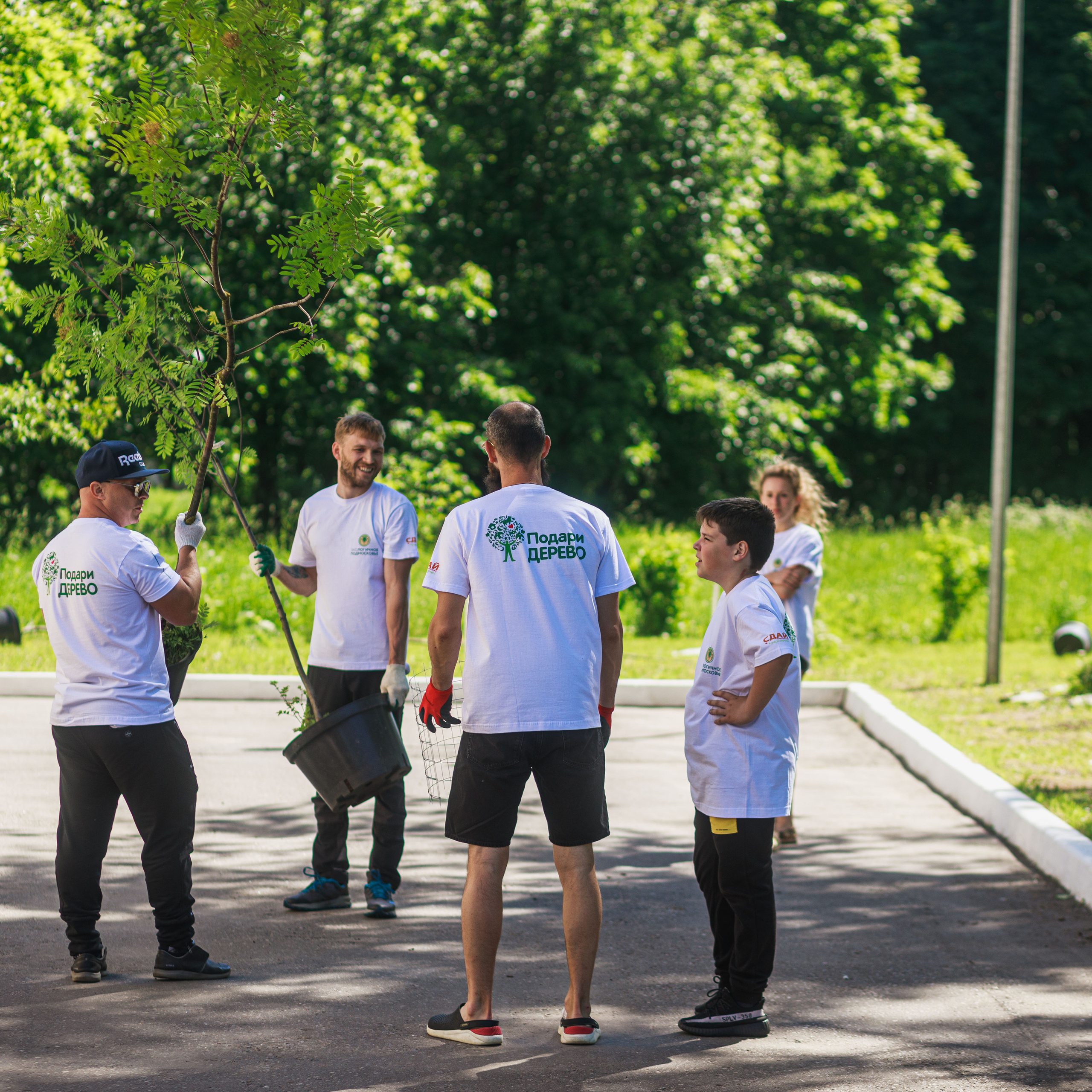 Посадка рябиновой аллеи в Видновском перинатальном центре