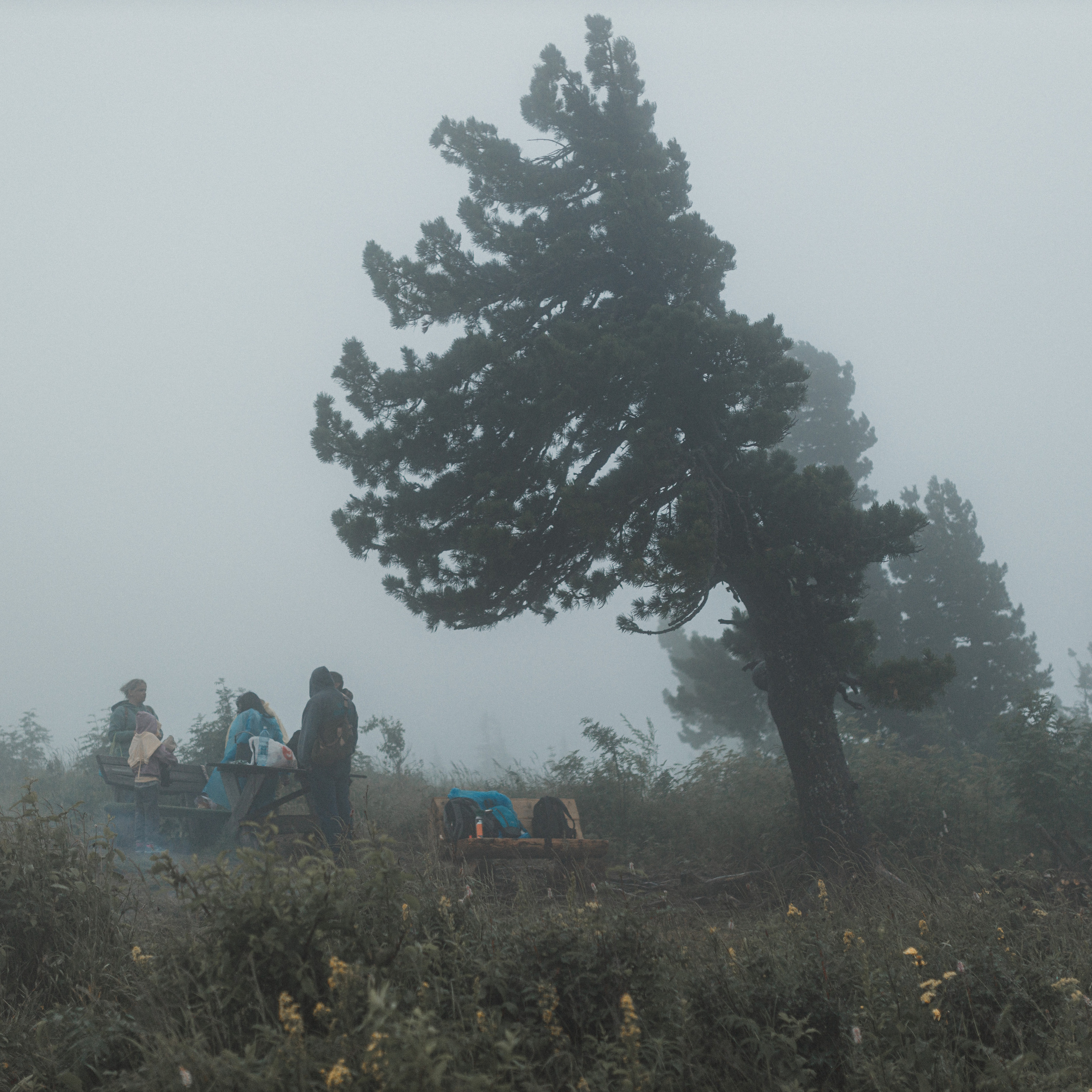 Отзывы. Фотограф Владимир Энджел
