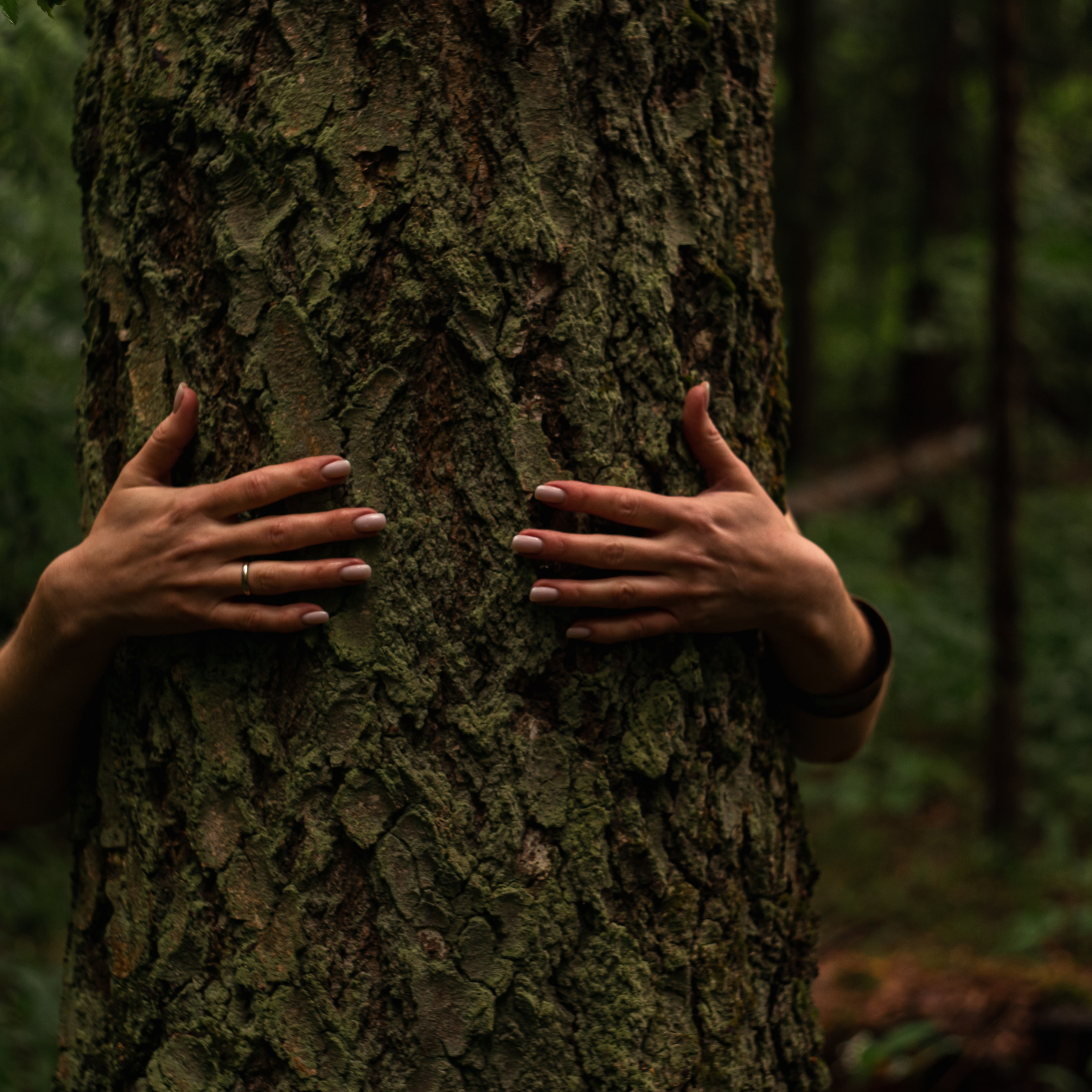 Ступай в&nbsp;лес