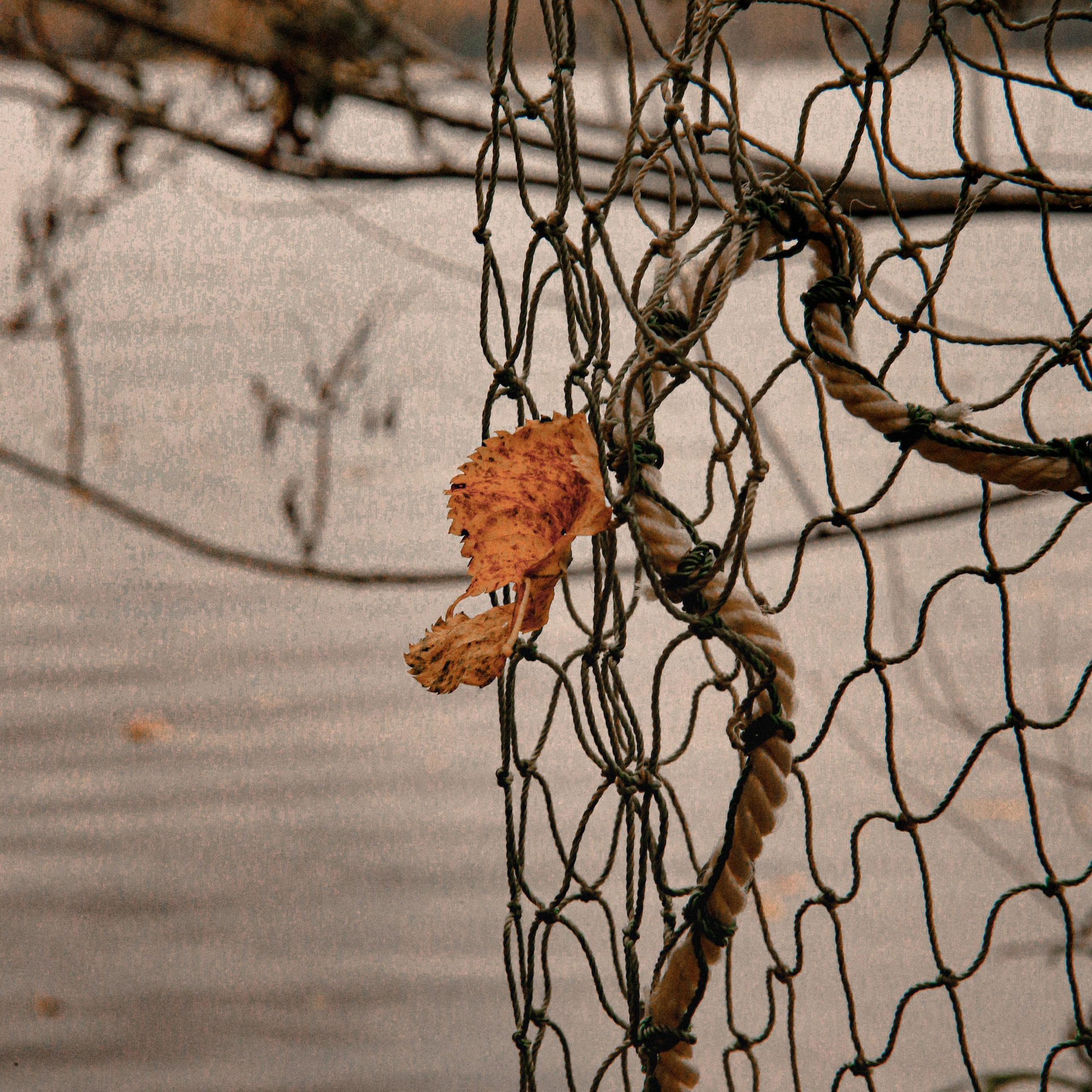 Погрустить вместе с&nbsp;осенью