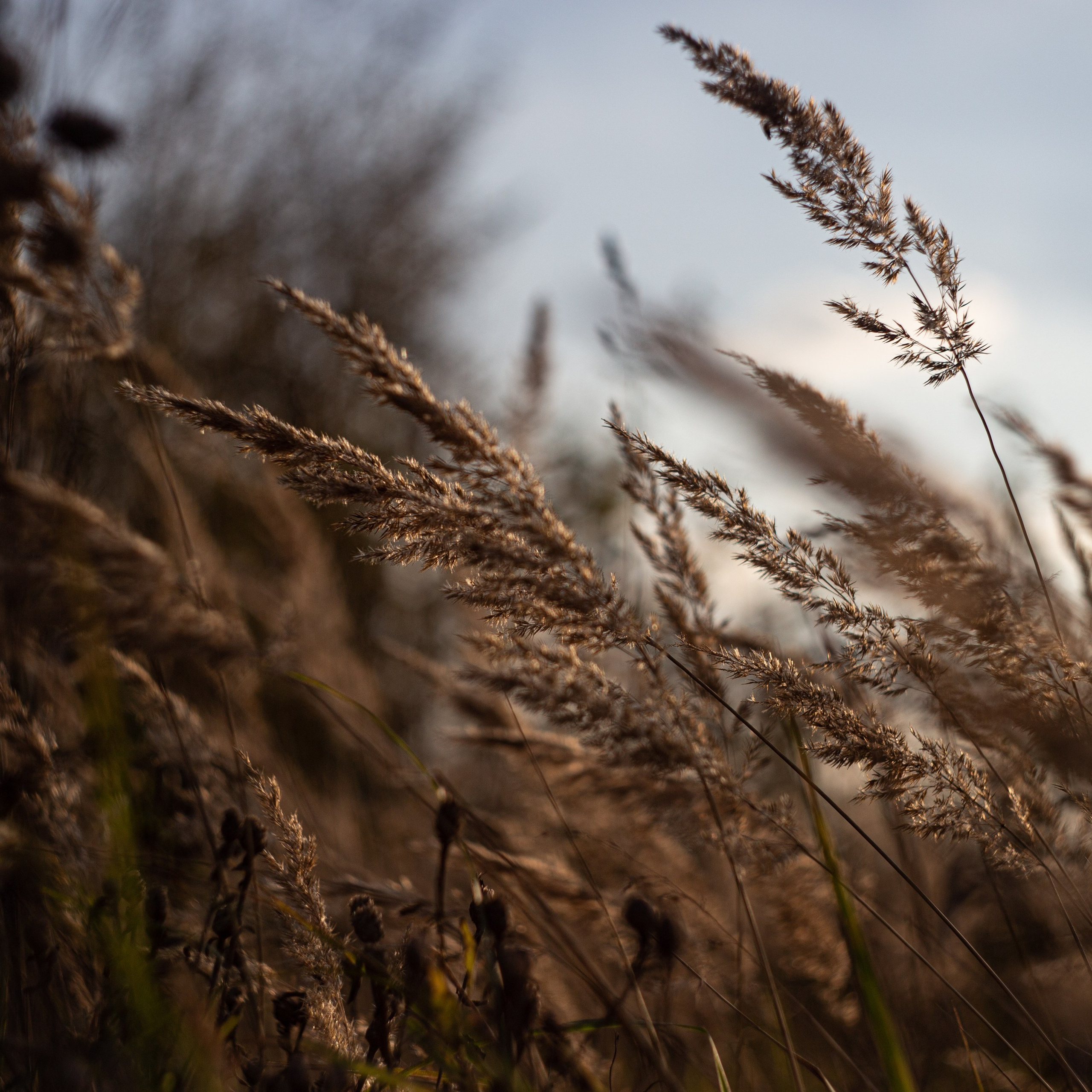 Сентябрь 2023