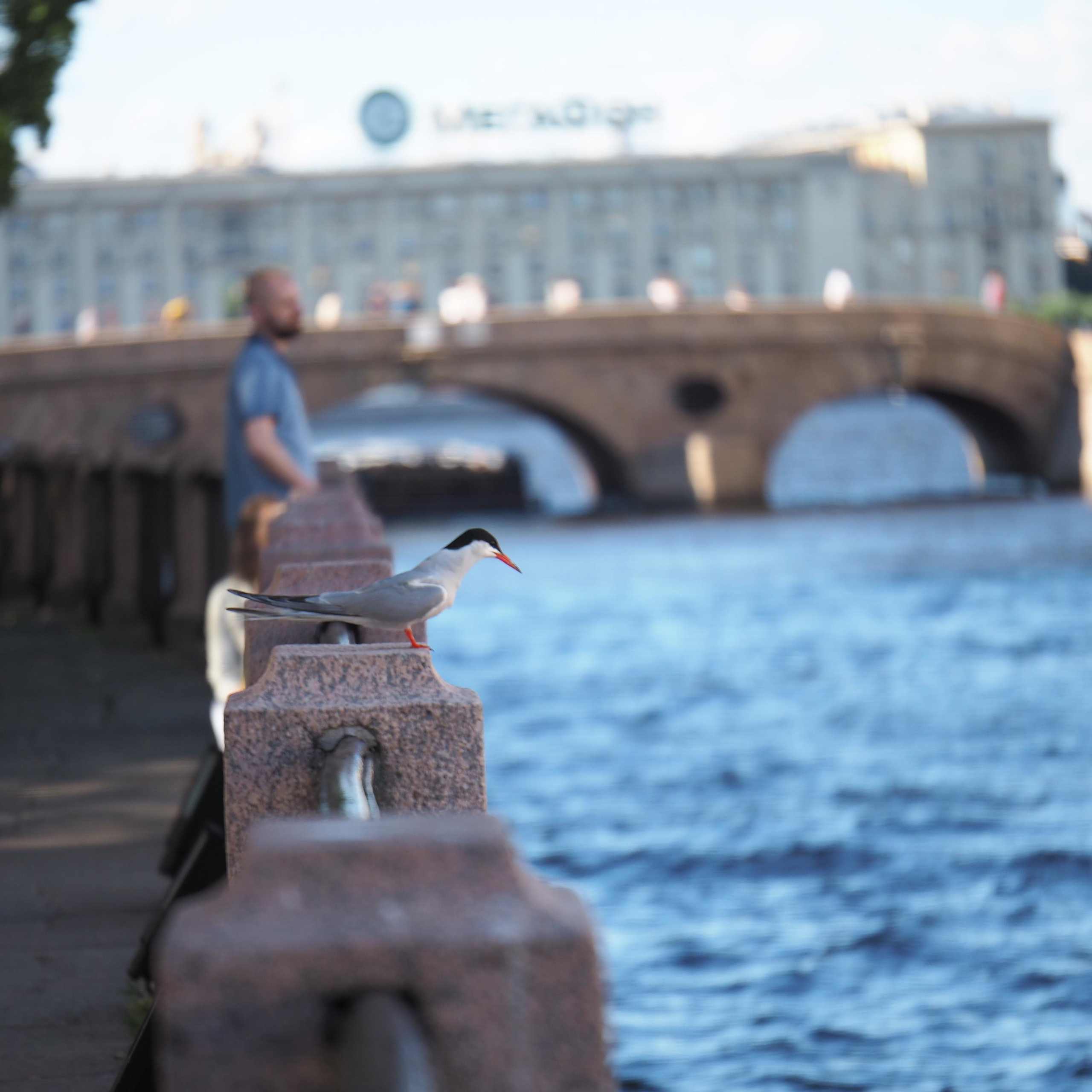 Москва, улицы, театр и артисты, друзья и мир фото Владимир Кашицин