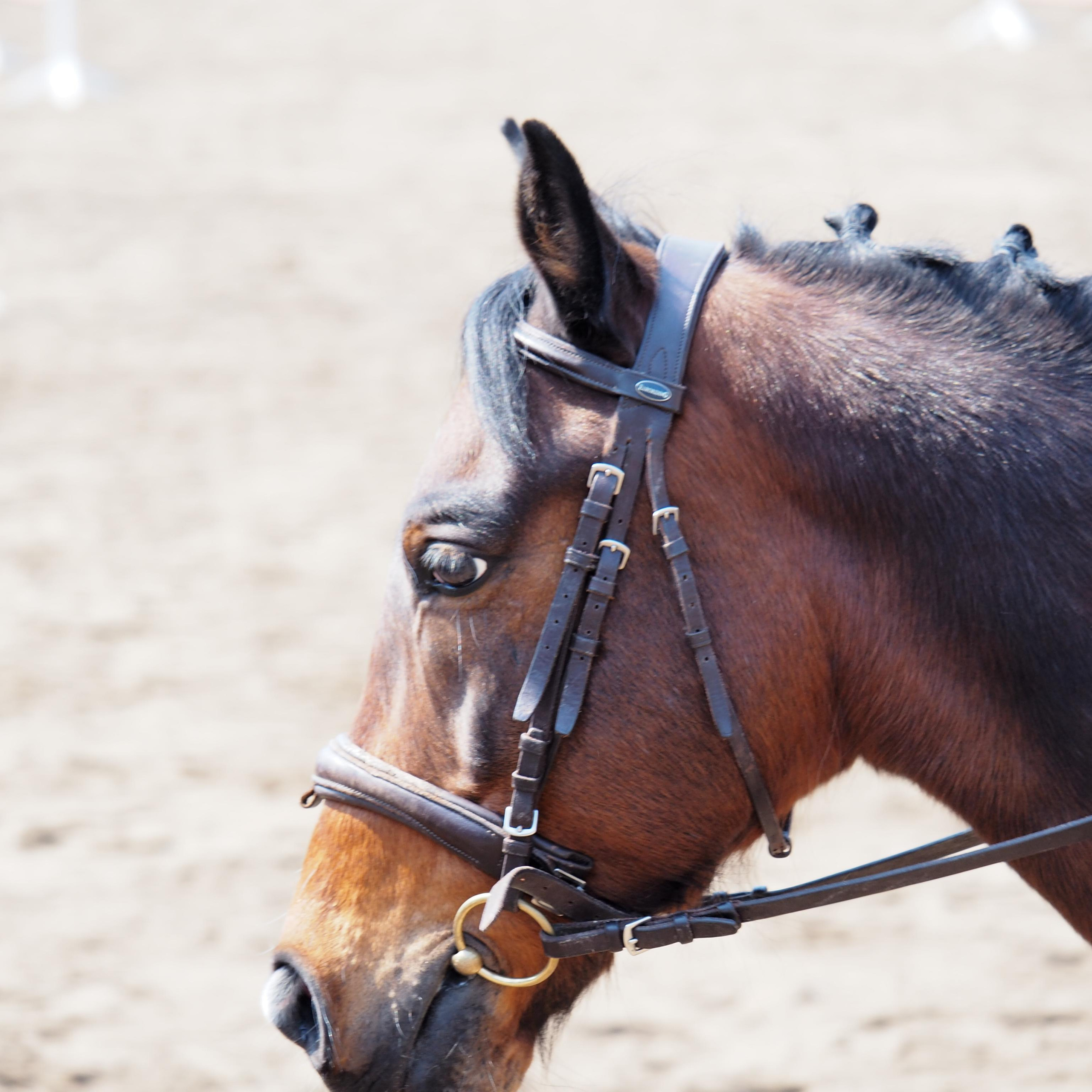Москва, улицы, театр и артисты, друзья и мир фото Владимир Кашицин