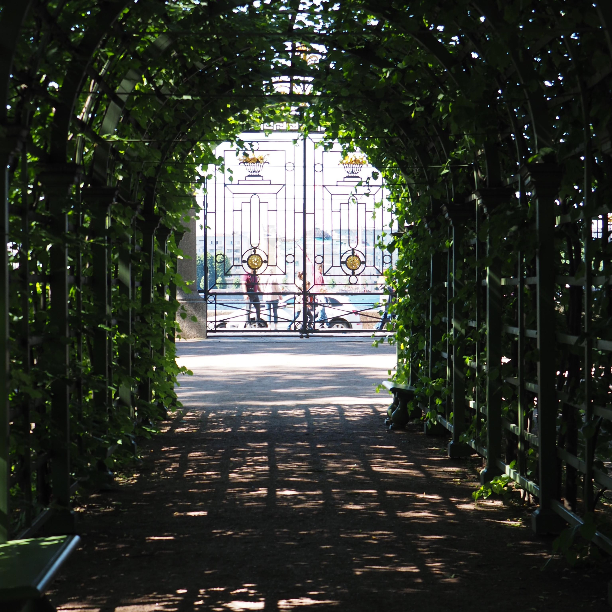 Москва, улицы, театр и артисты, друзья и мир фото Владимир Кашицин