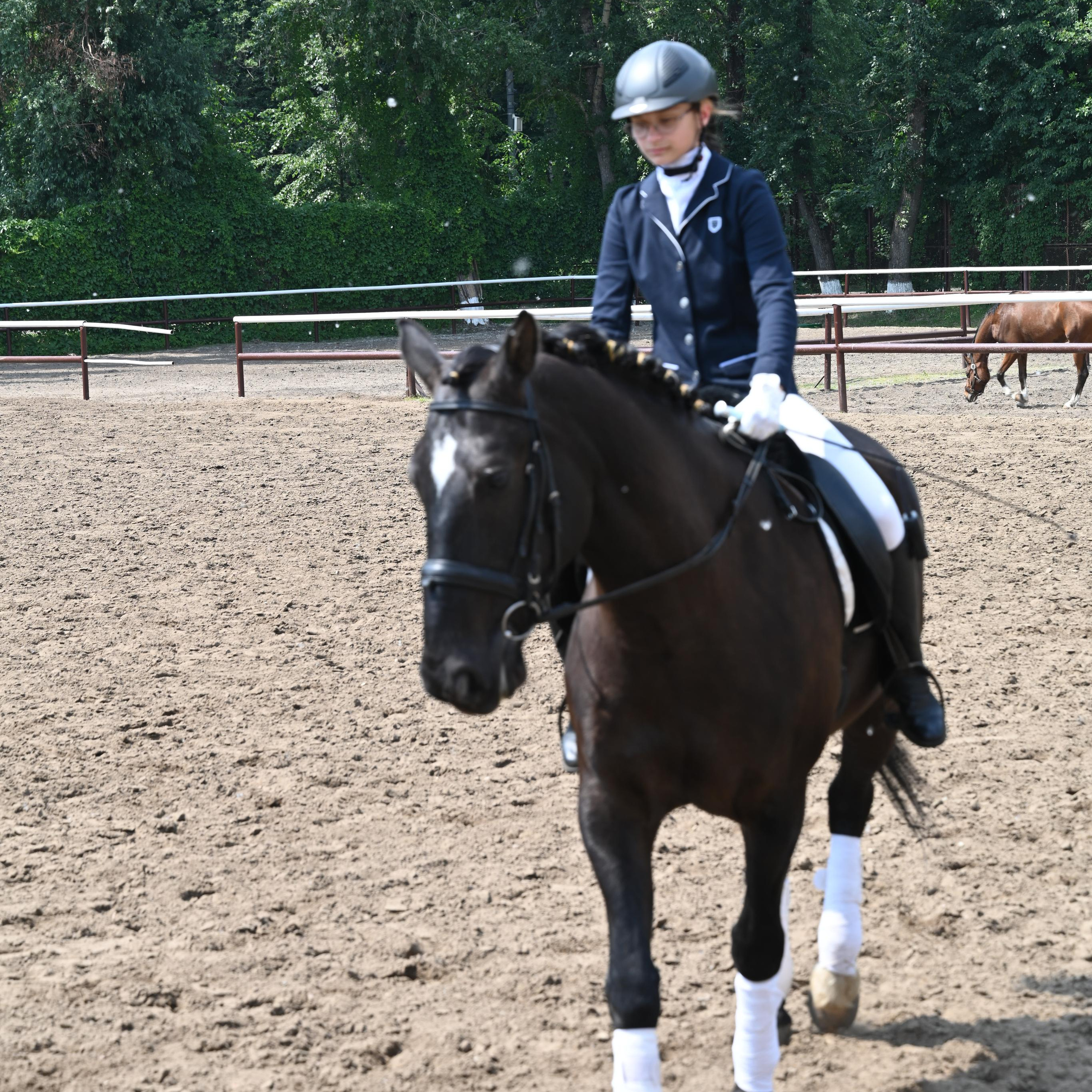 Москва, улицы, театр и артисты, друзья и мир фото Владимир Кашицин