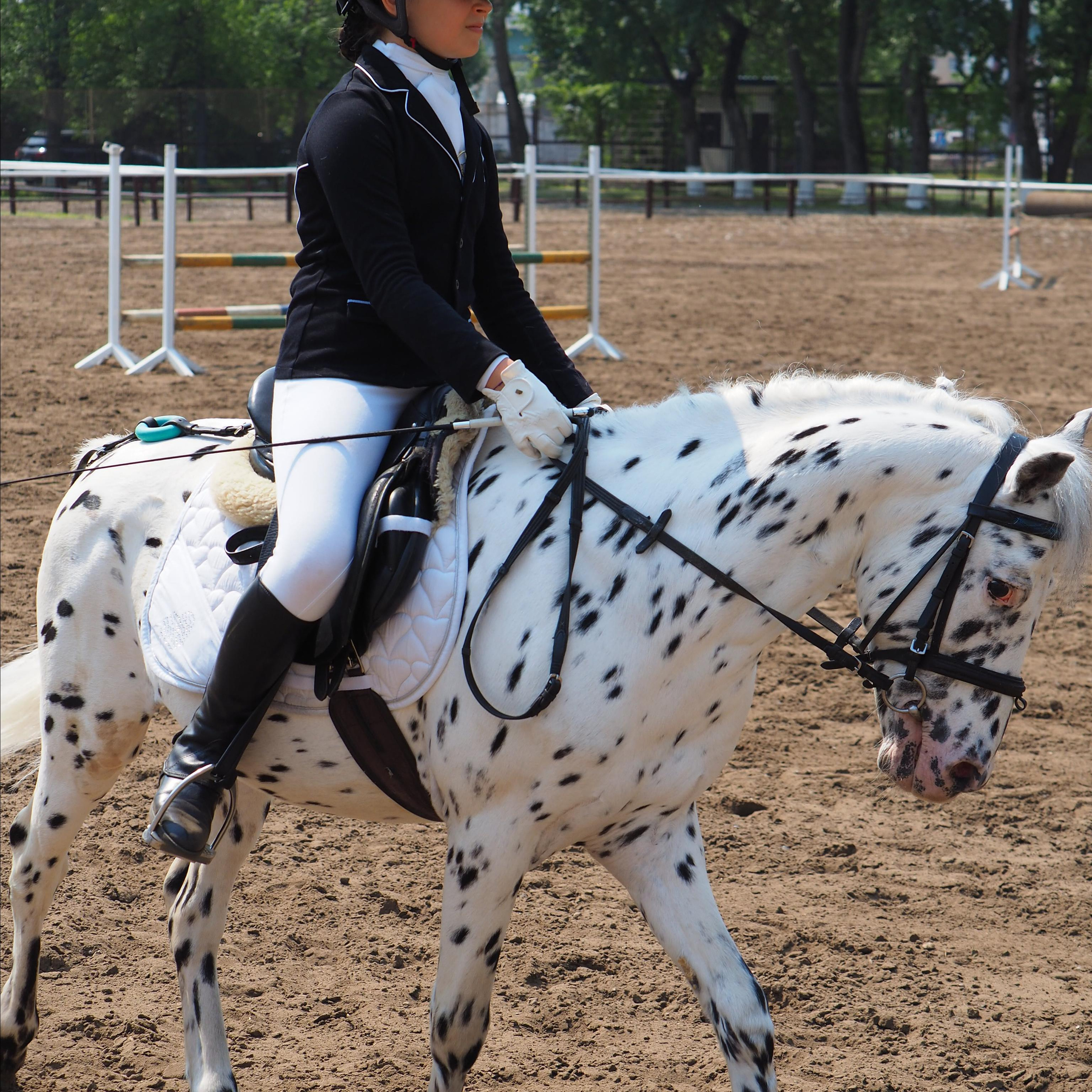 Москва, улицы, театр и артисты, друзья и мир фото Владимир Кашицин
