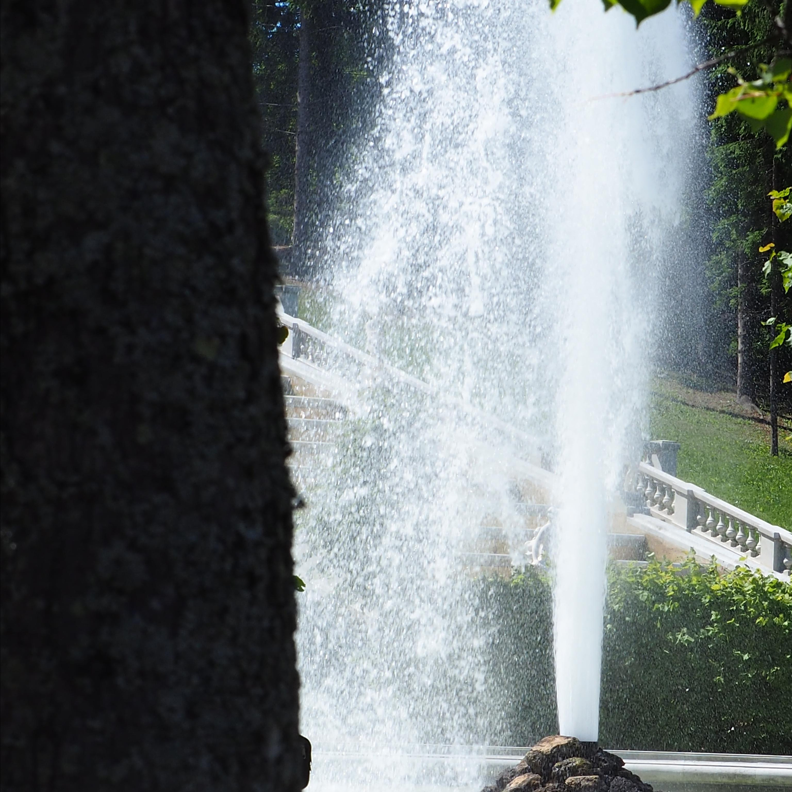 Москва, улицы, театр и артисты, друзья и мир фото Владимир Кашицин