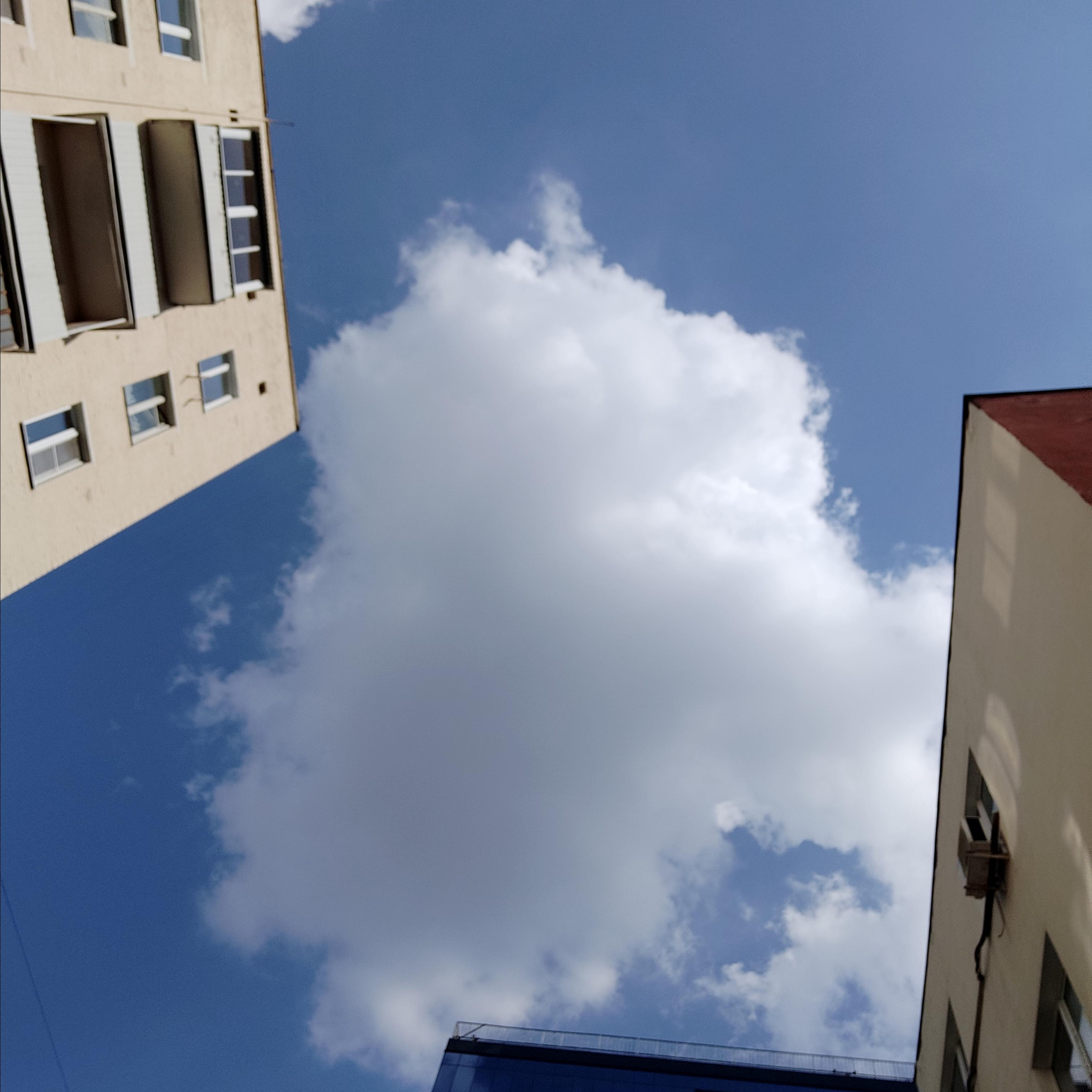 Москва, улицы, театр и артисты, друзья и мир фото Владимир Кашицин