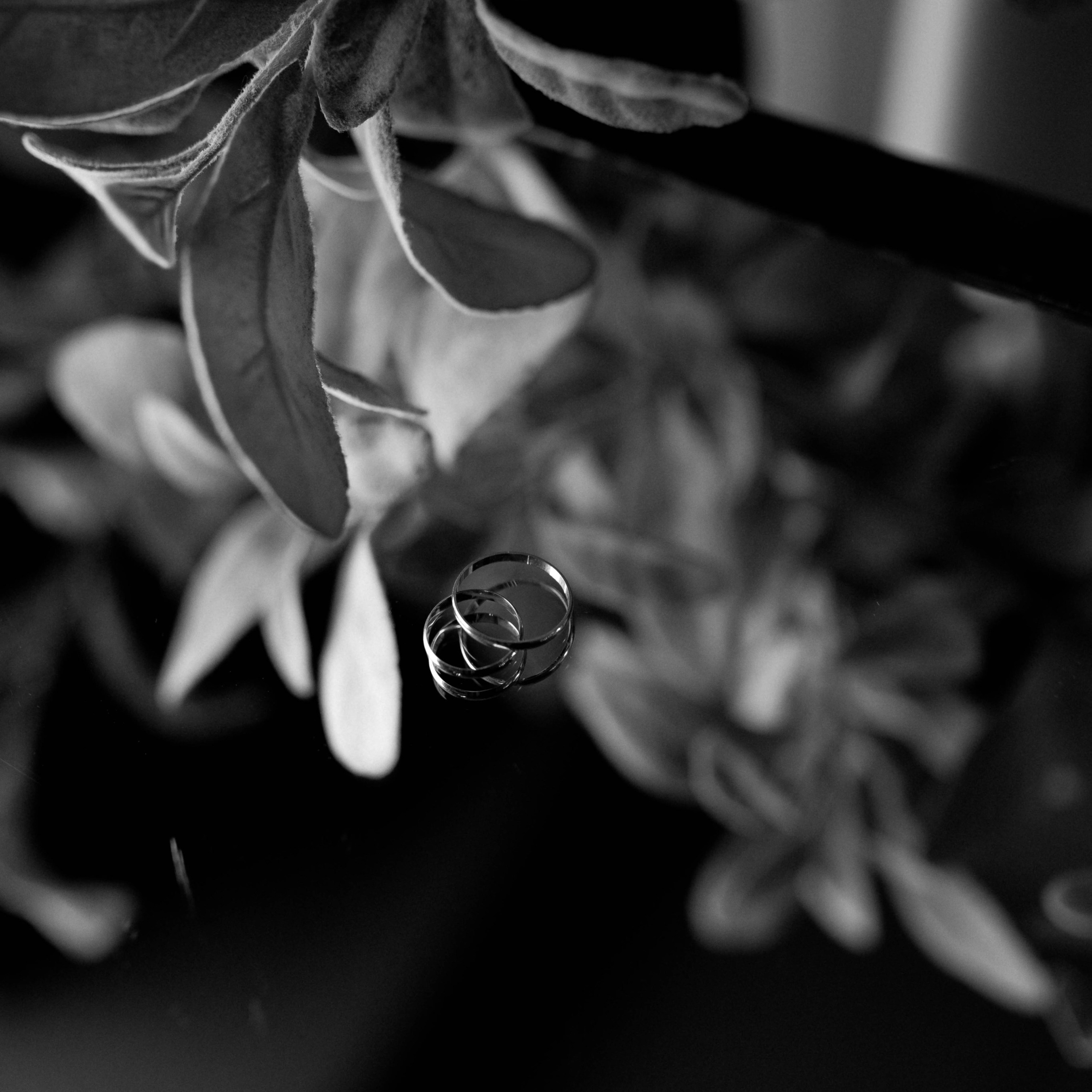 Отзывы. Свадебный фотограф Новосибирск