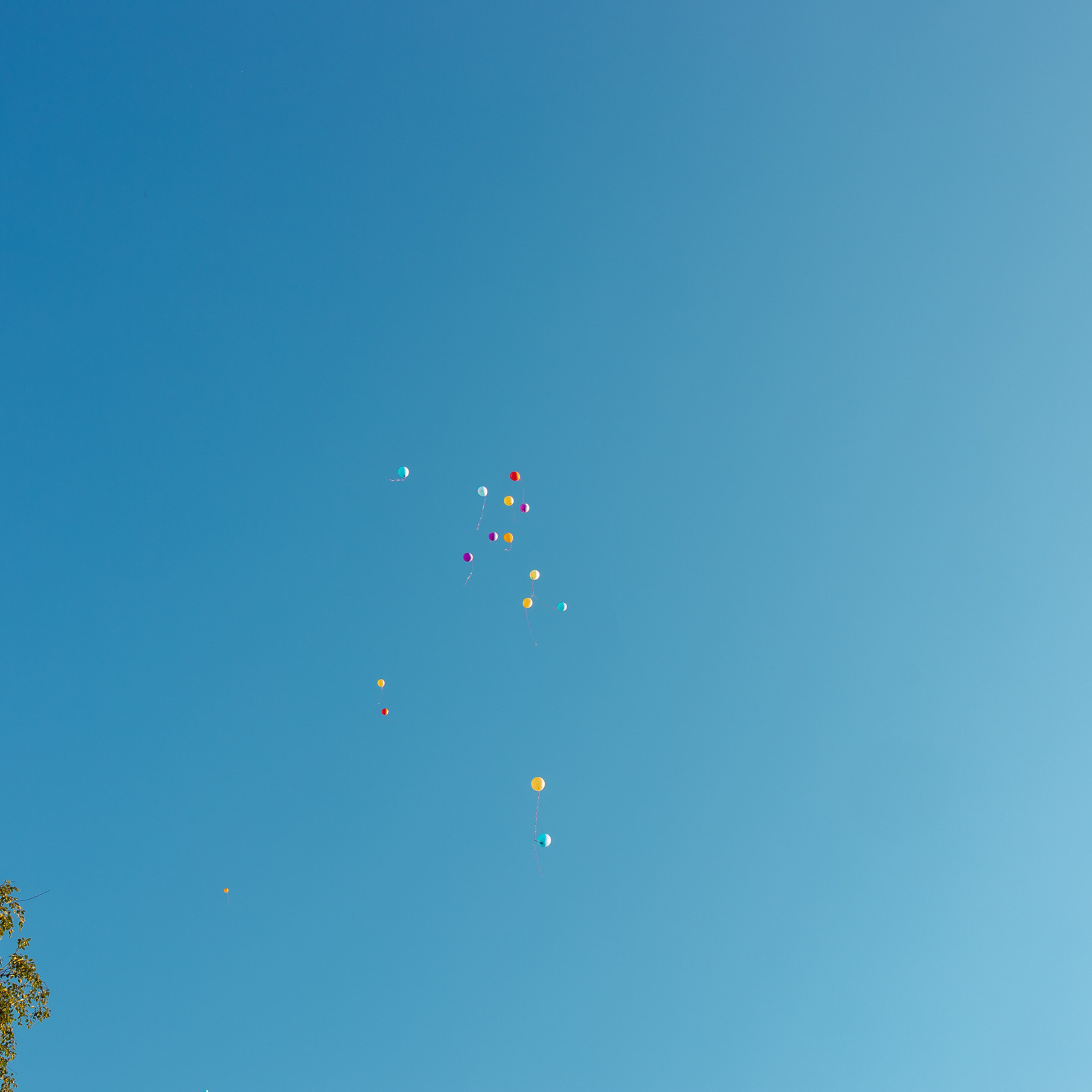 Отзывы Фотограф Москва. Семейный Фотограф в Москве Евгения Симоненко