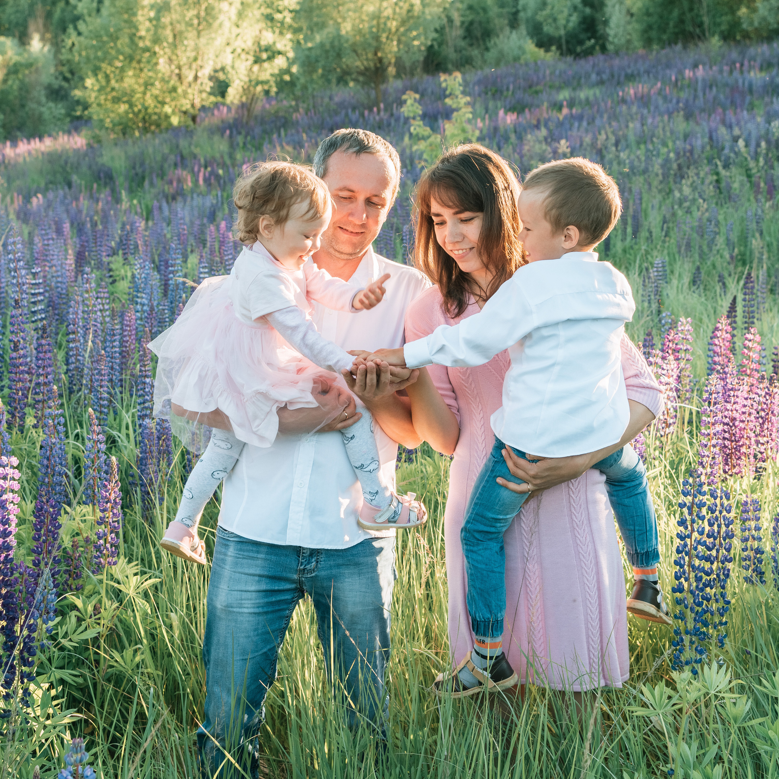 Семейная съемка в люпиновых полях
