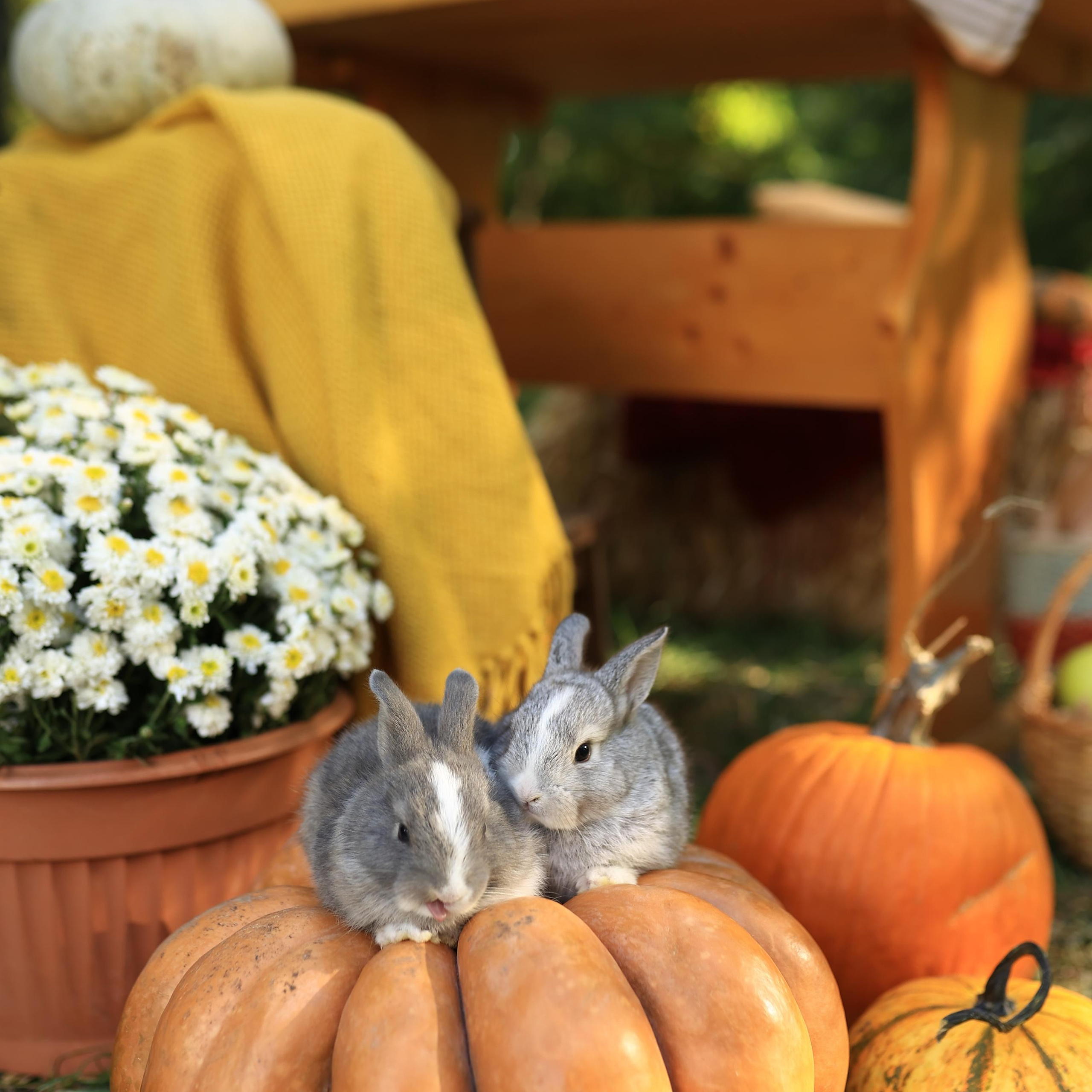 Отзывы. Семейный и детский фотограф Ростов-на-Дону