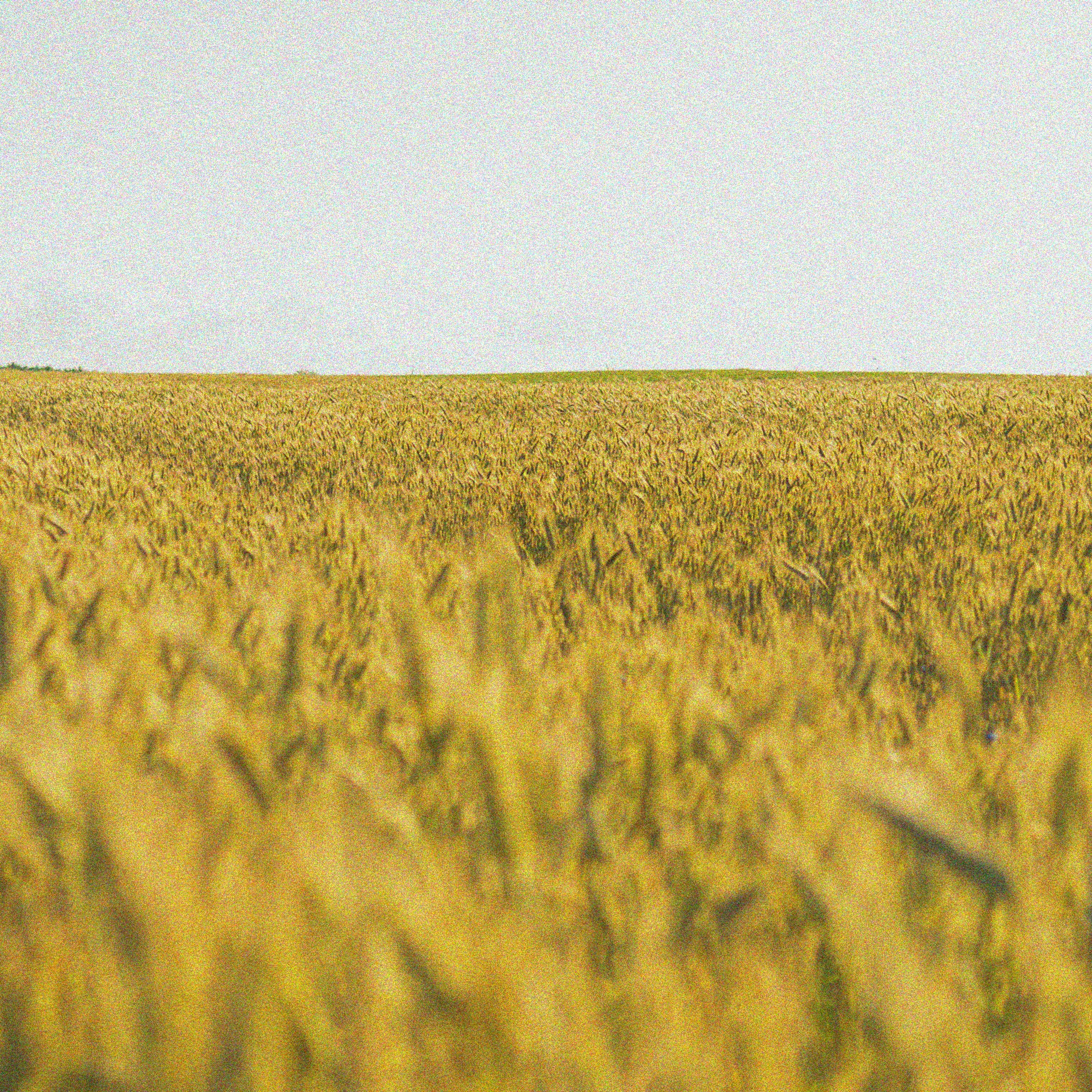 В ожидании Ч у д а