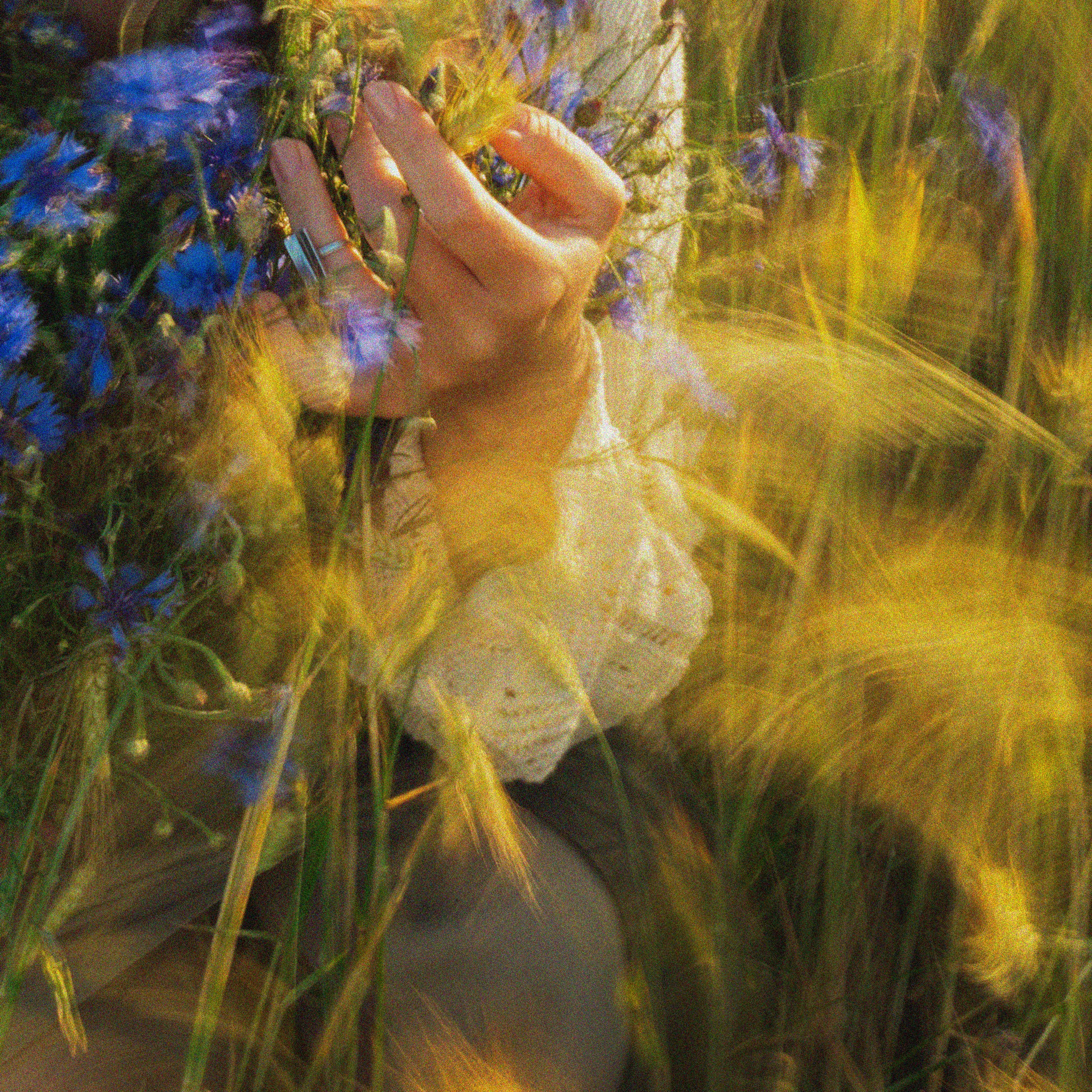 Эстетика П р о Я в л е н и я