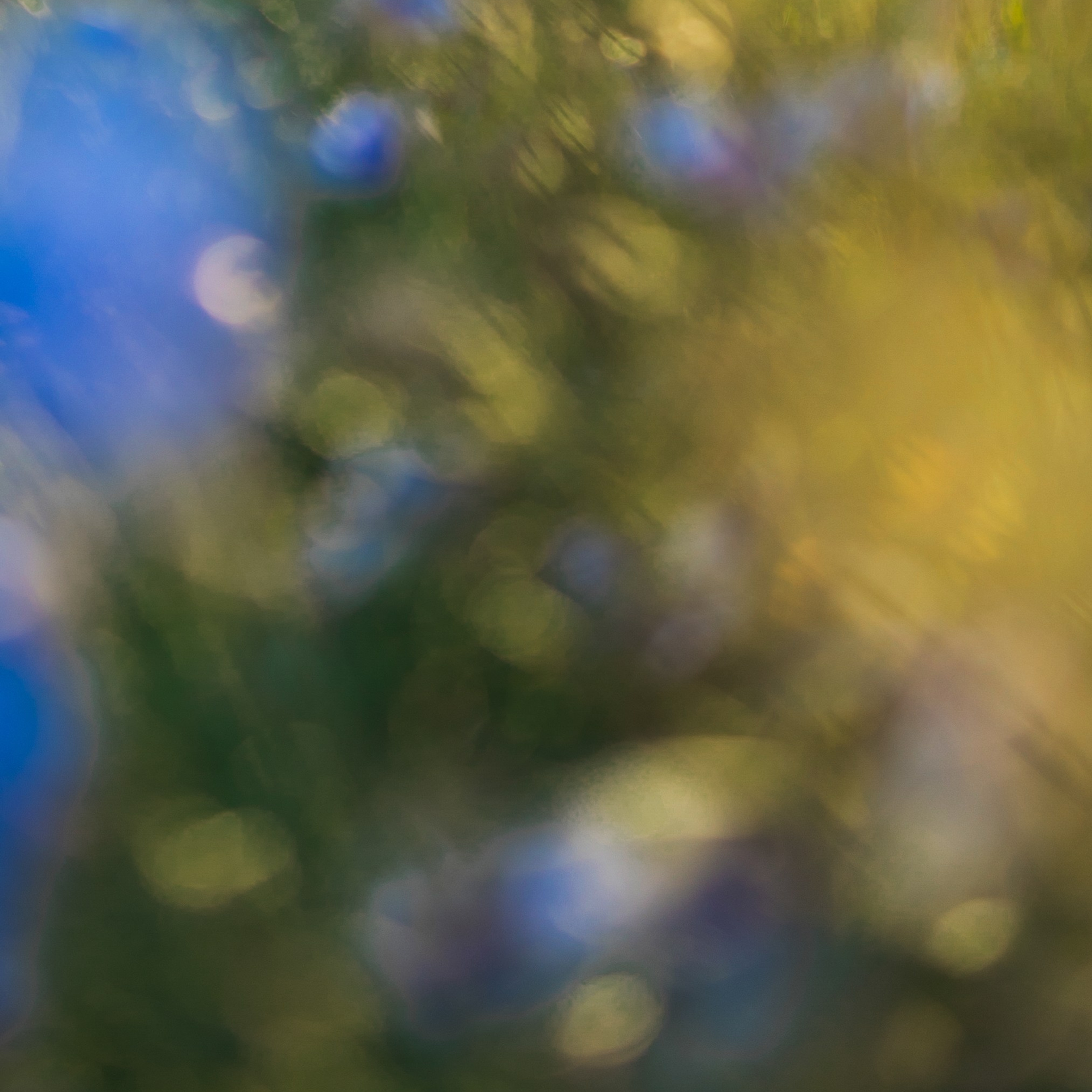 Л ю б о в ь между Вами и посреди Вас