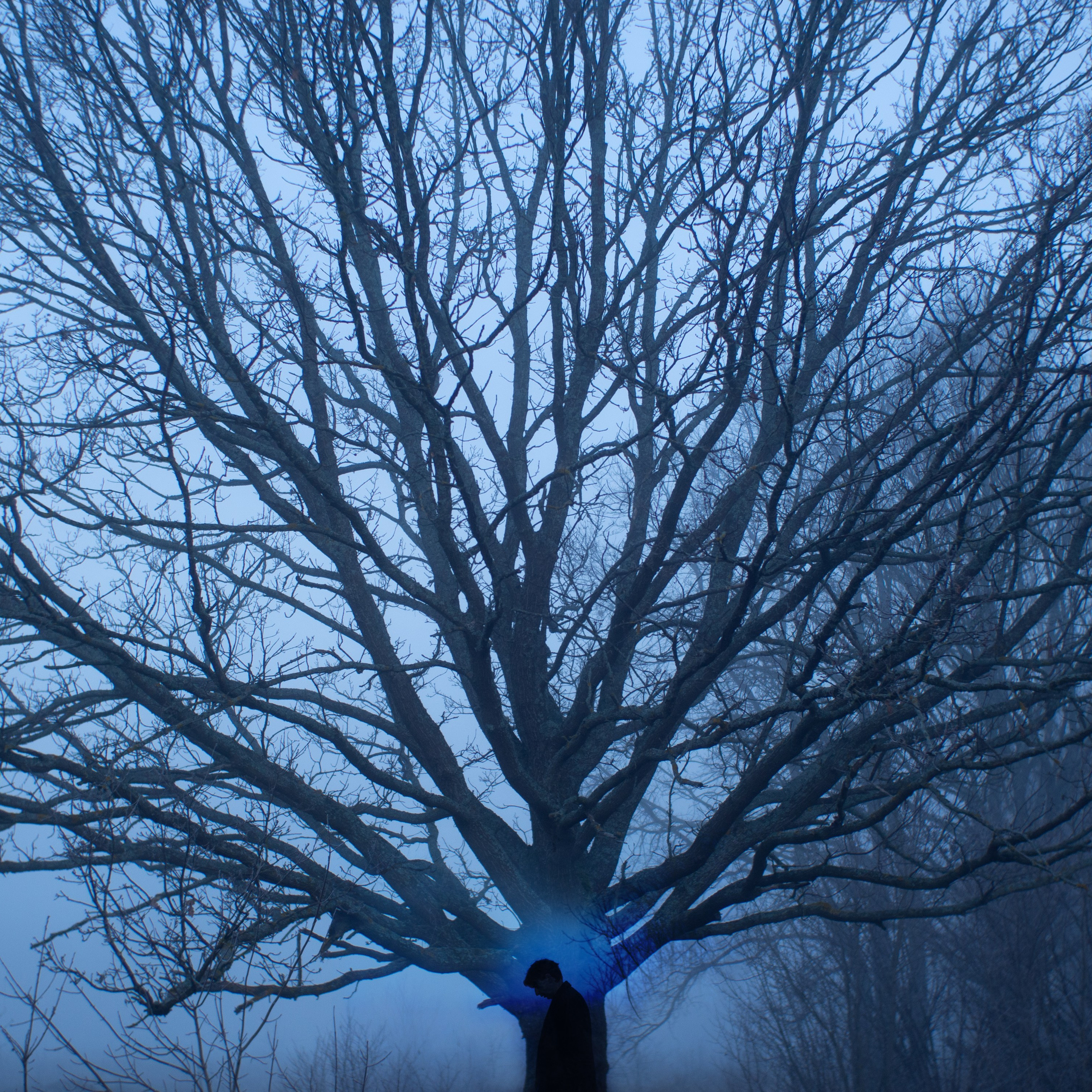 Отзывы. Фотоистории