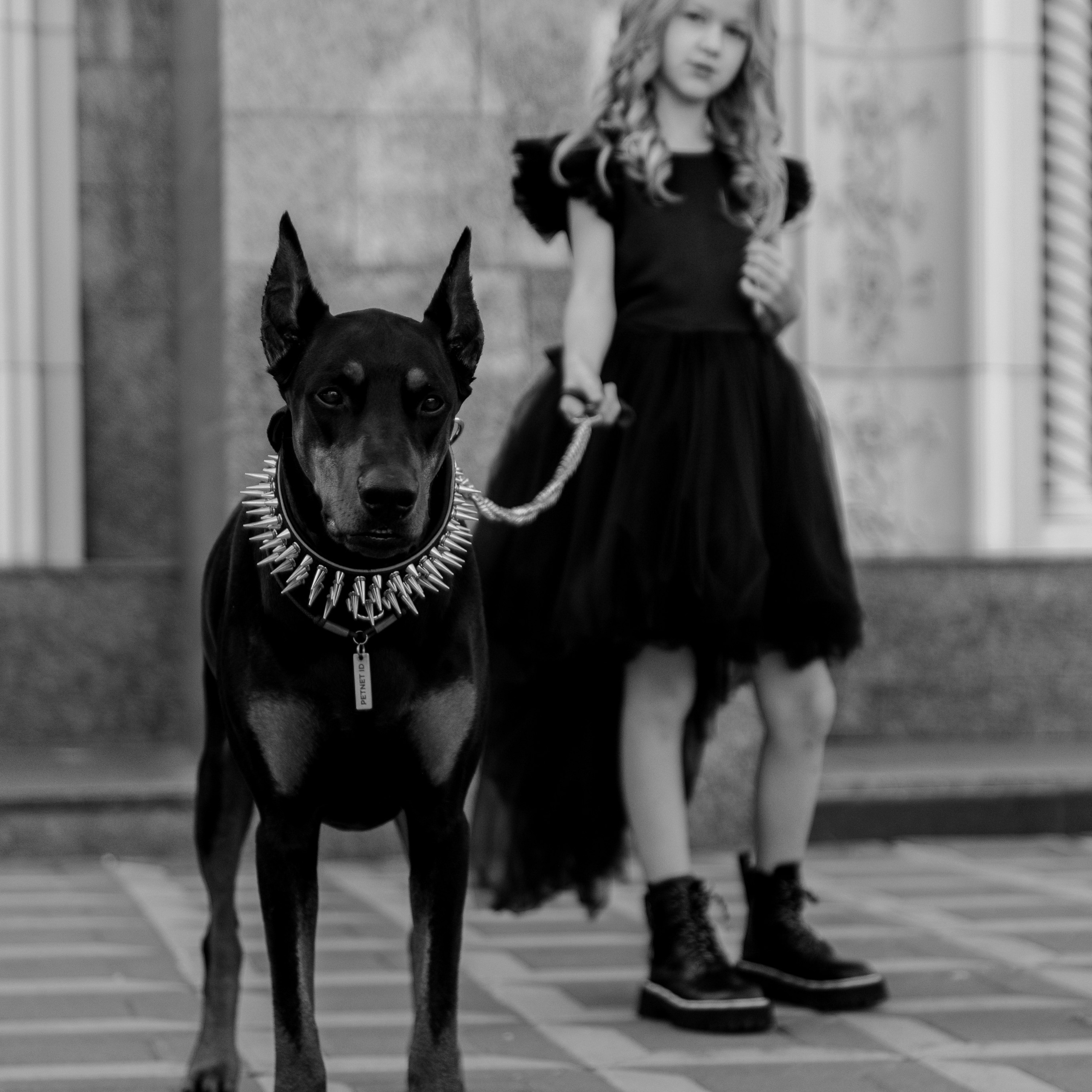 Отзывы. Свадебный и семейный фотограф Динар Гильмутдинов