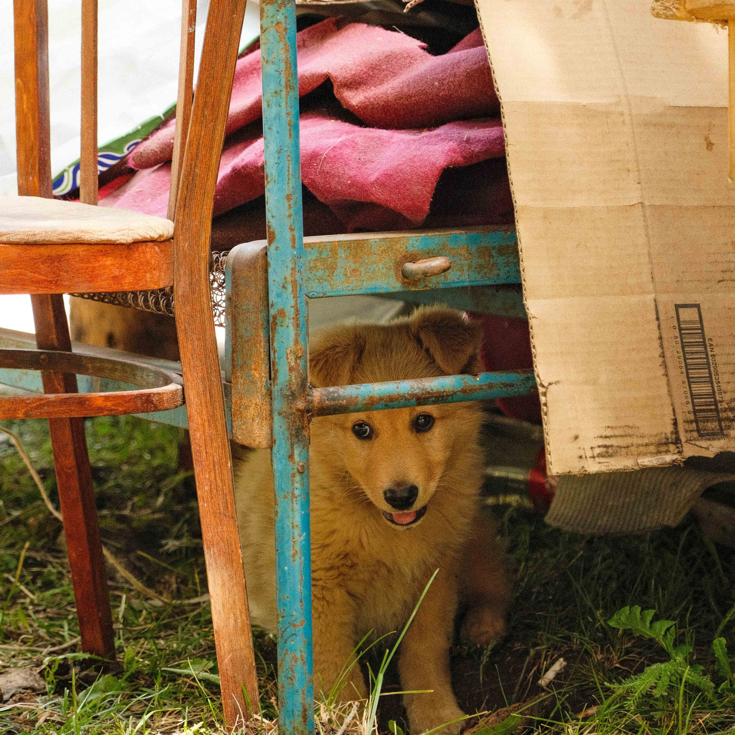 Заметки и Кейсы. -