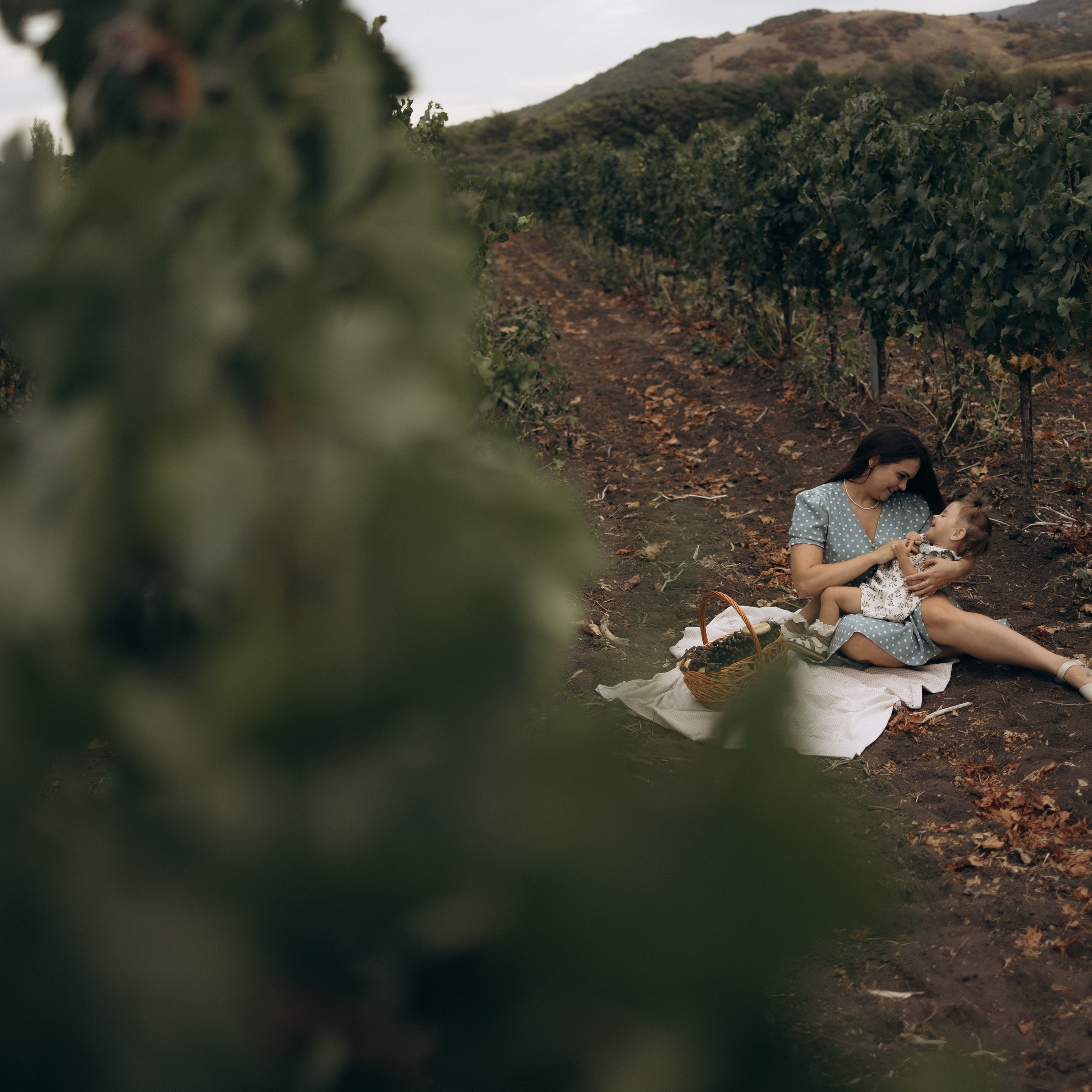 Ласковость