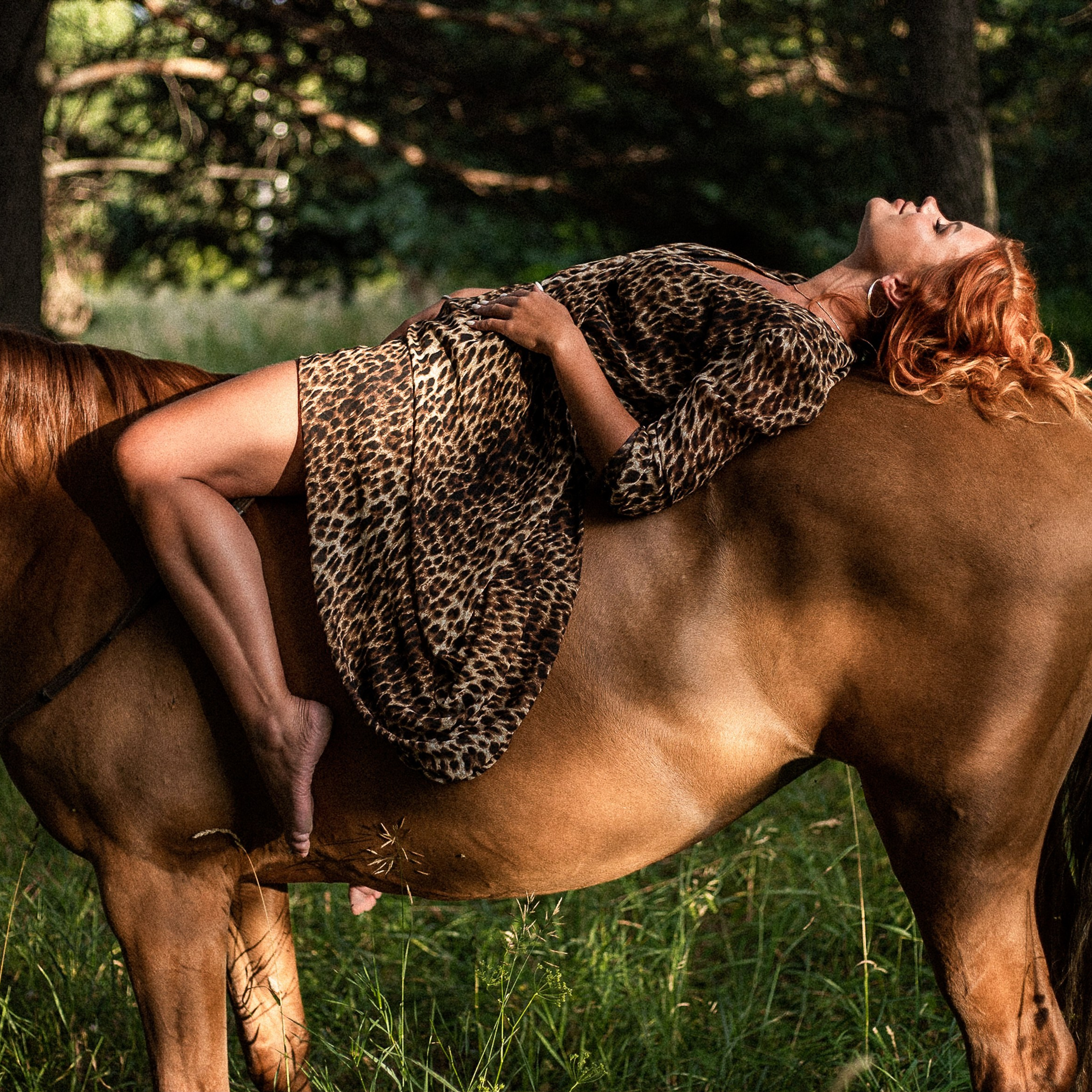 Фотопроект «Конюшня»