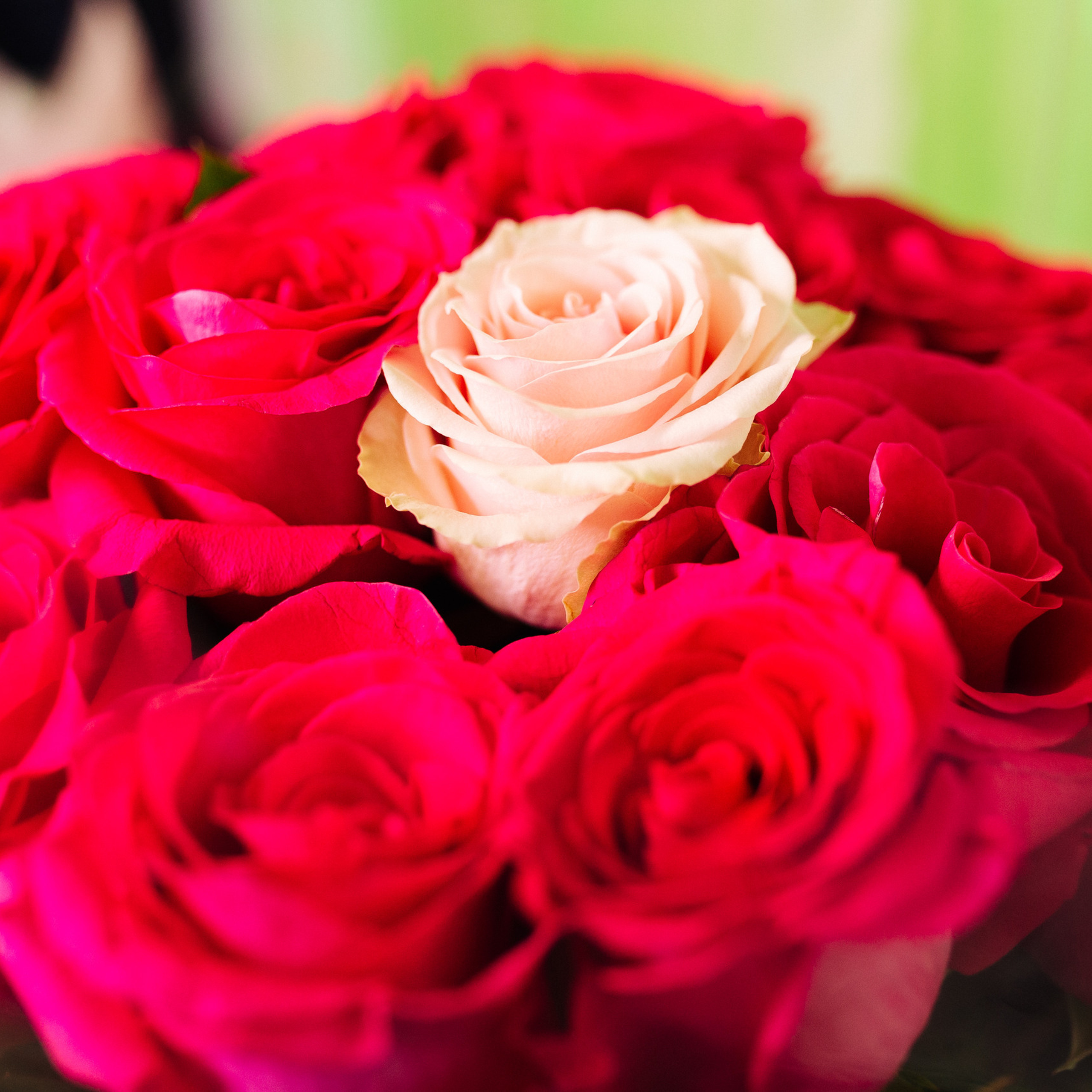 Отзывы. OleinikovPhoto