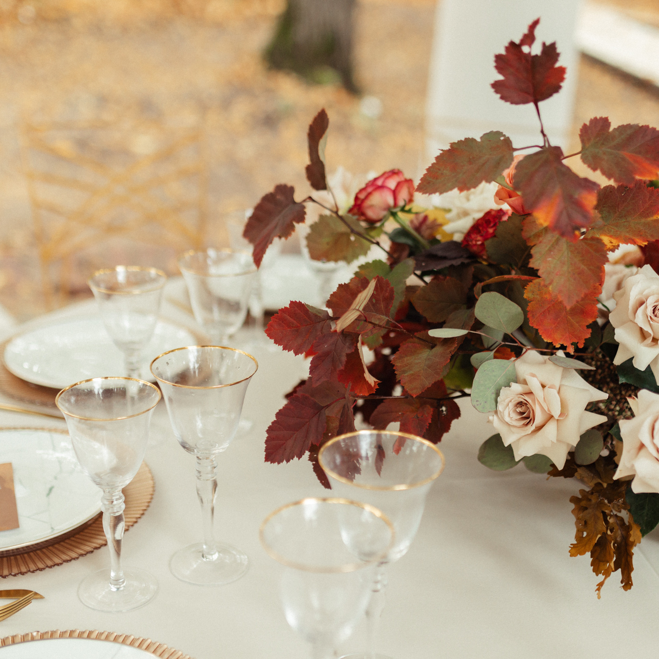 WED фотография. Фотограф и видеограф на мероприятия