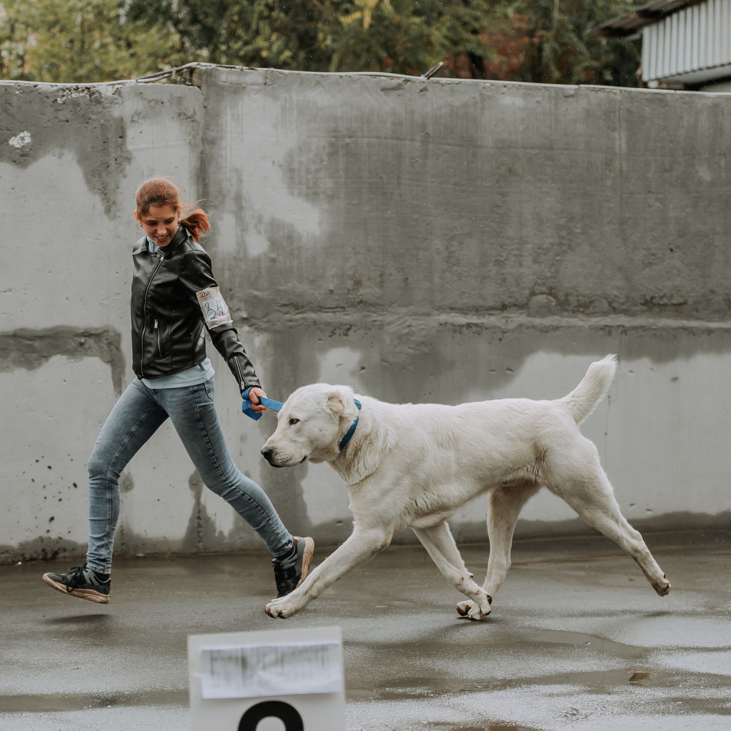 3 сентября 2022 г. Братск Фаворит