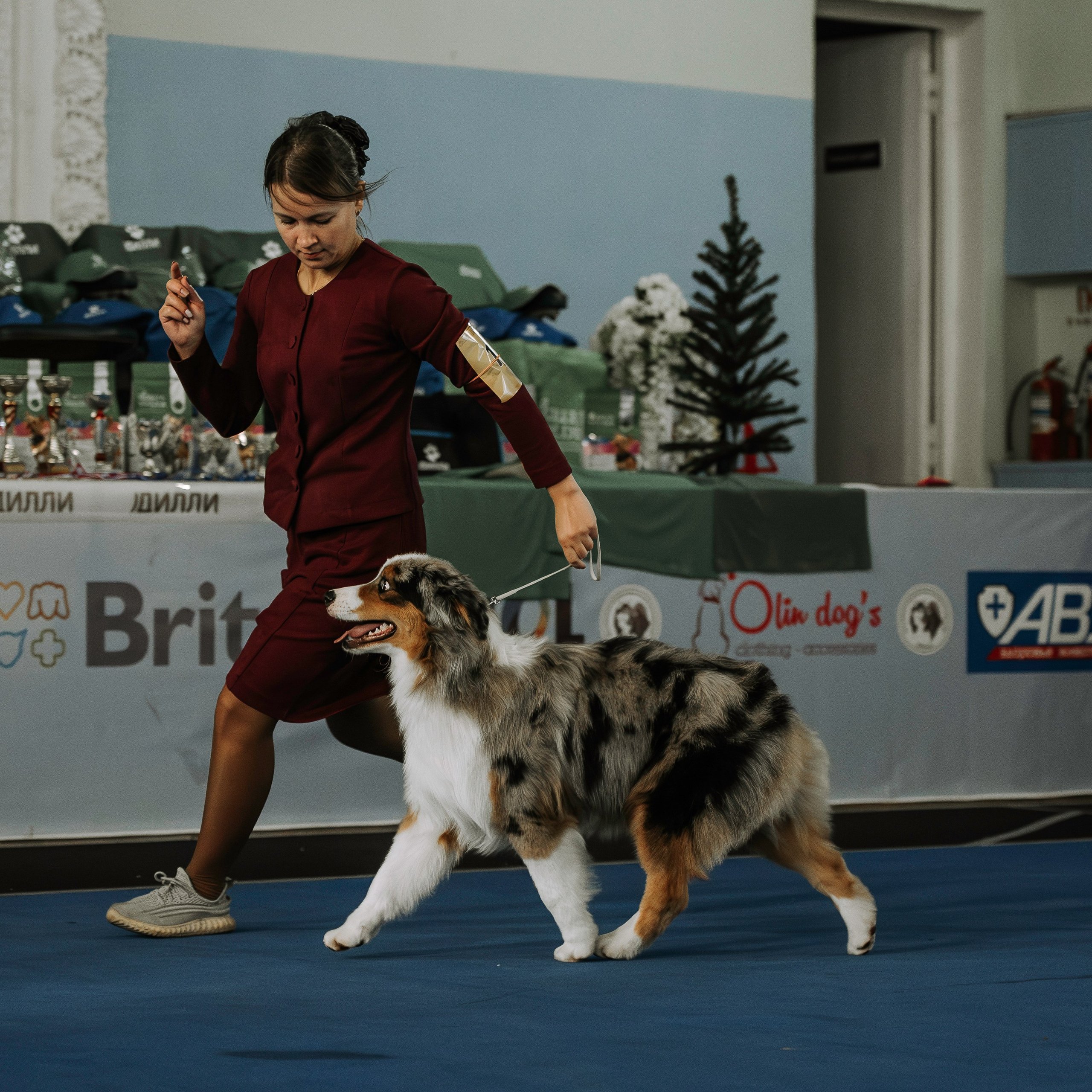 Выставка Красноярск 29.10.2023