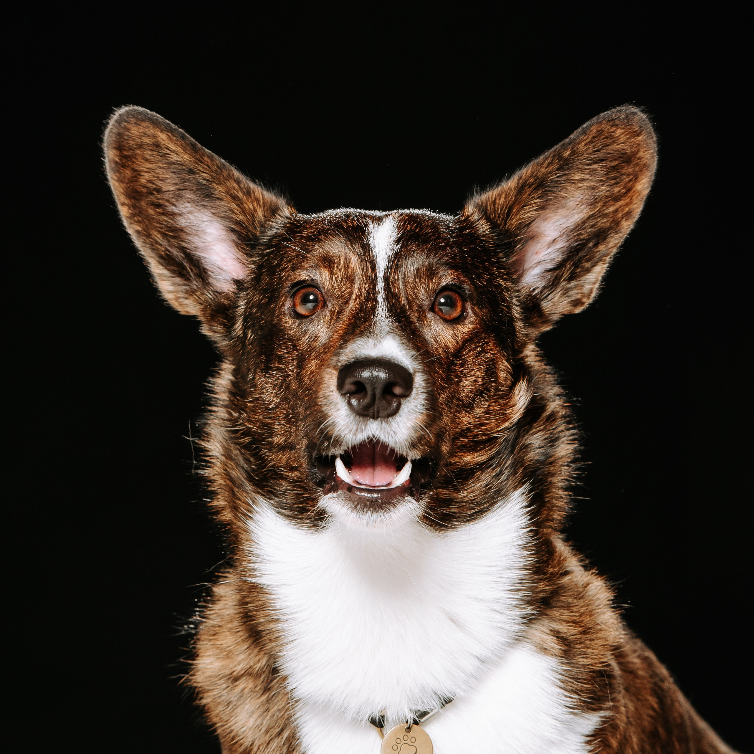 Отзывы. Фотограф Диана Оленина Красноярск / Братск