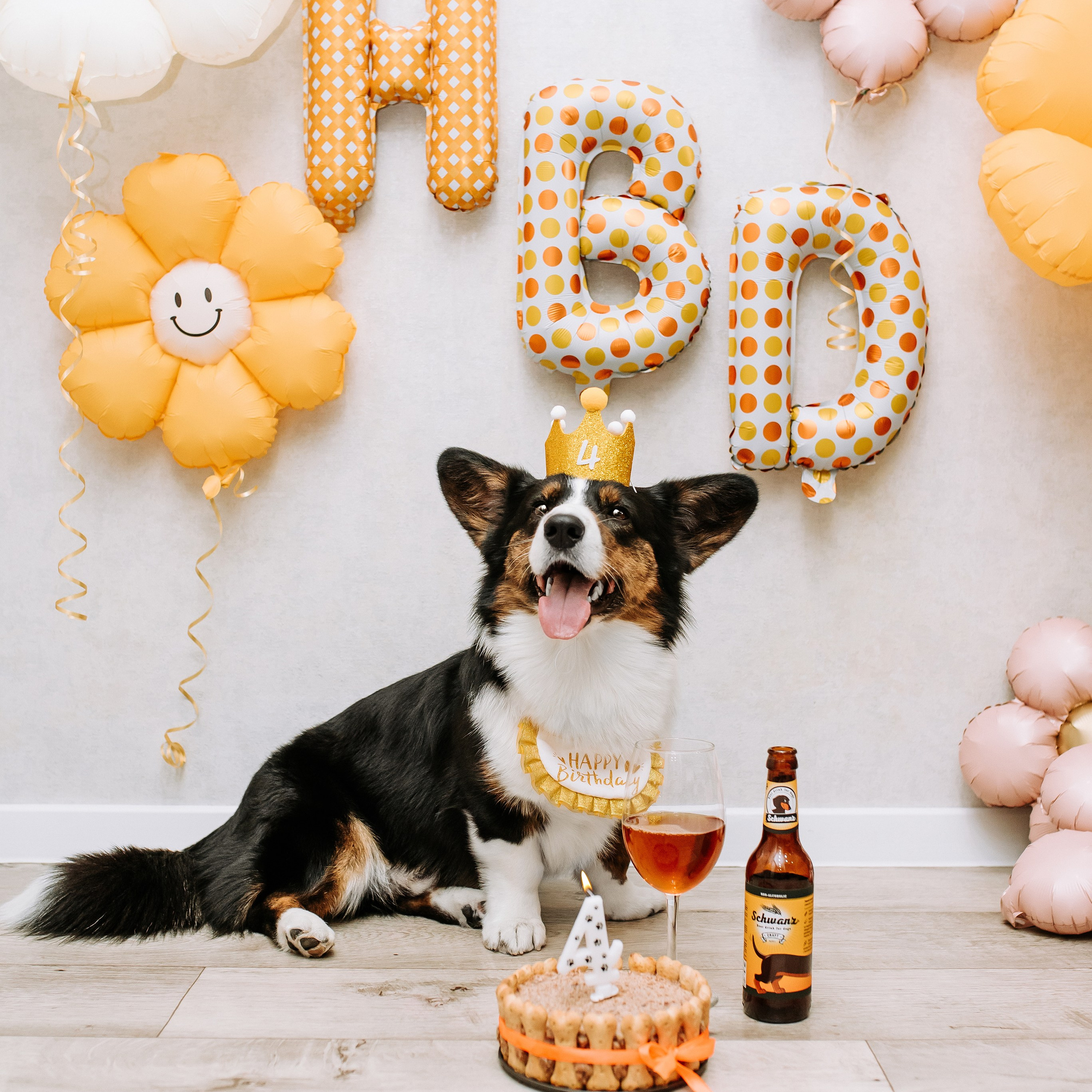 Домашние съемки