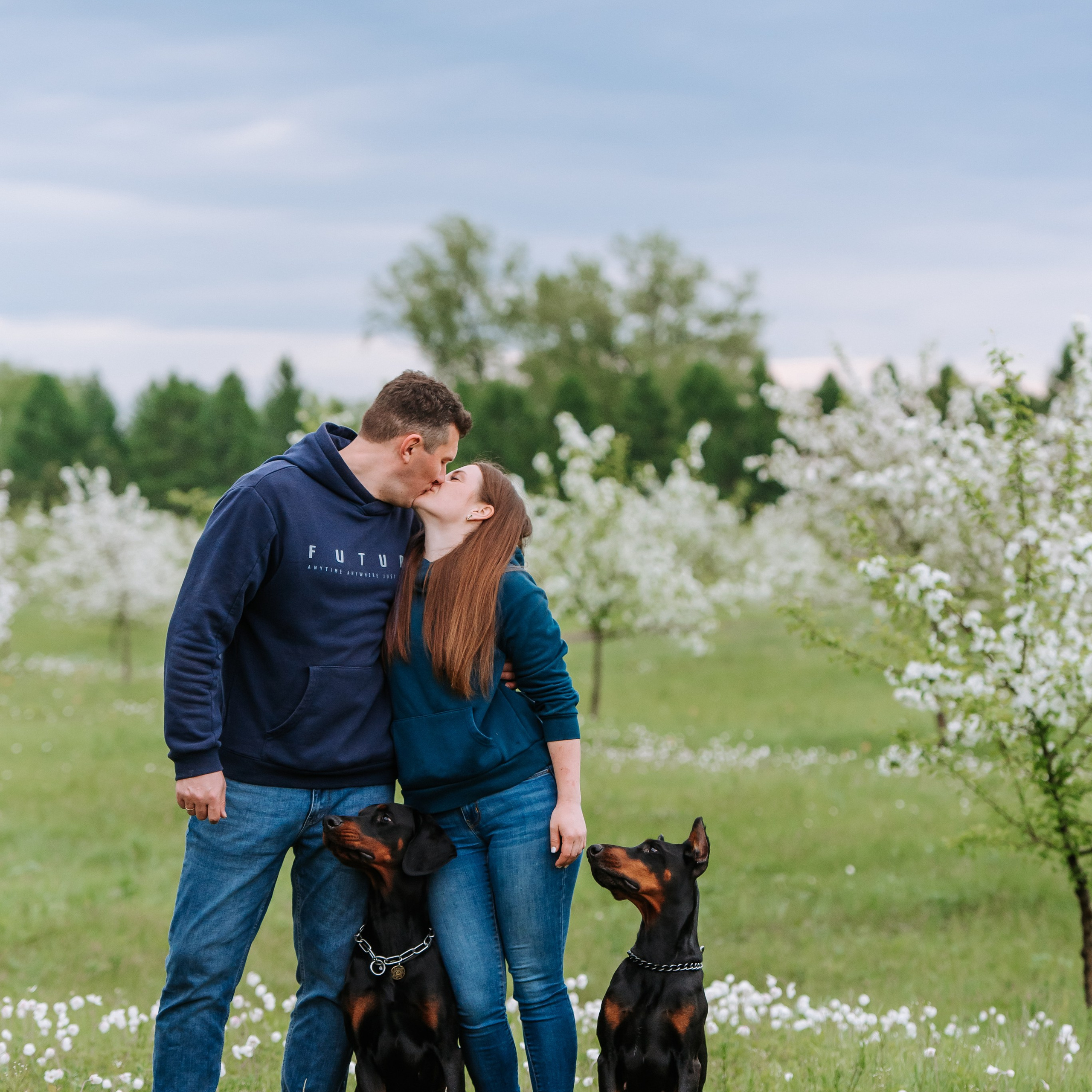 Цветение с&nbsp;доберманами