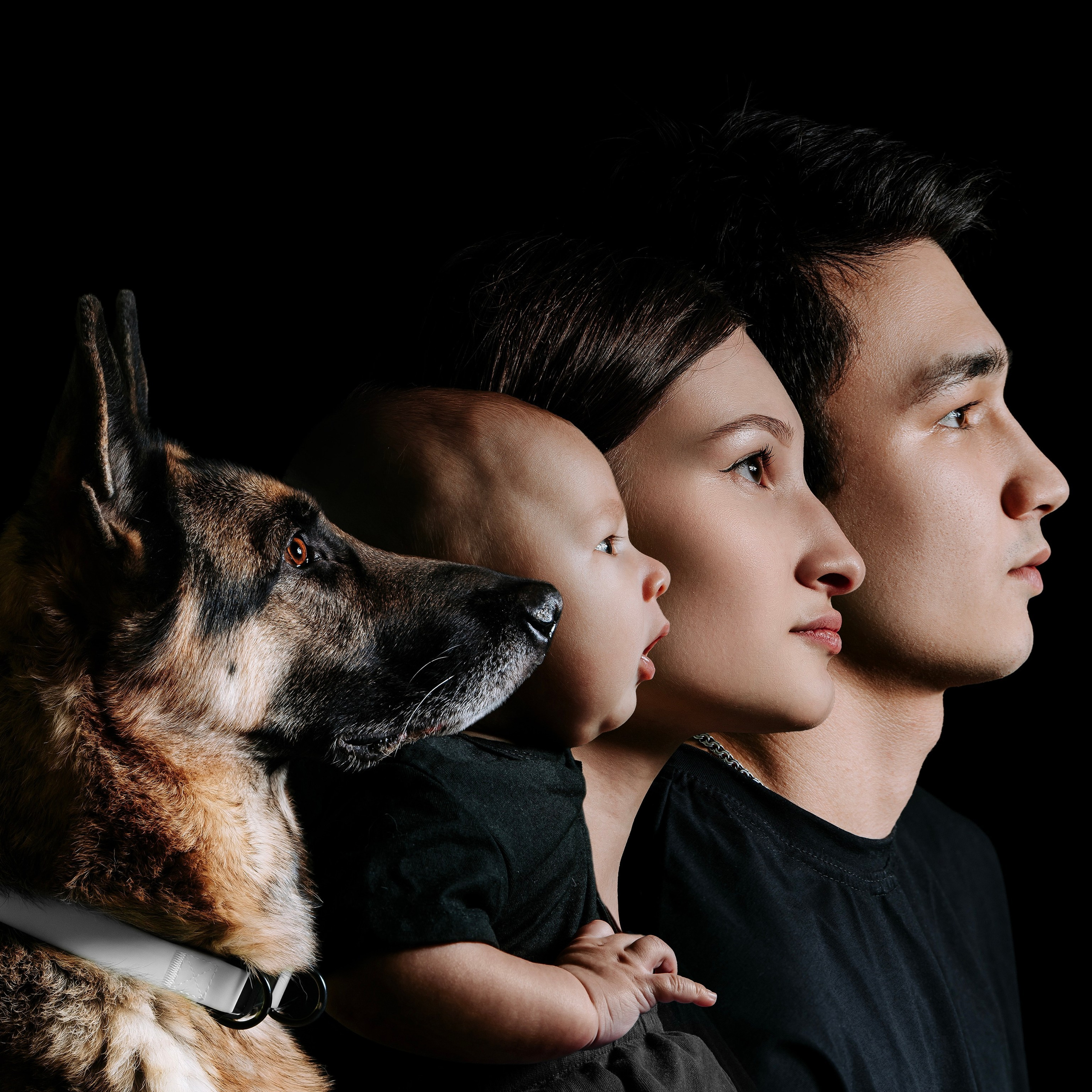 Проект Наследие