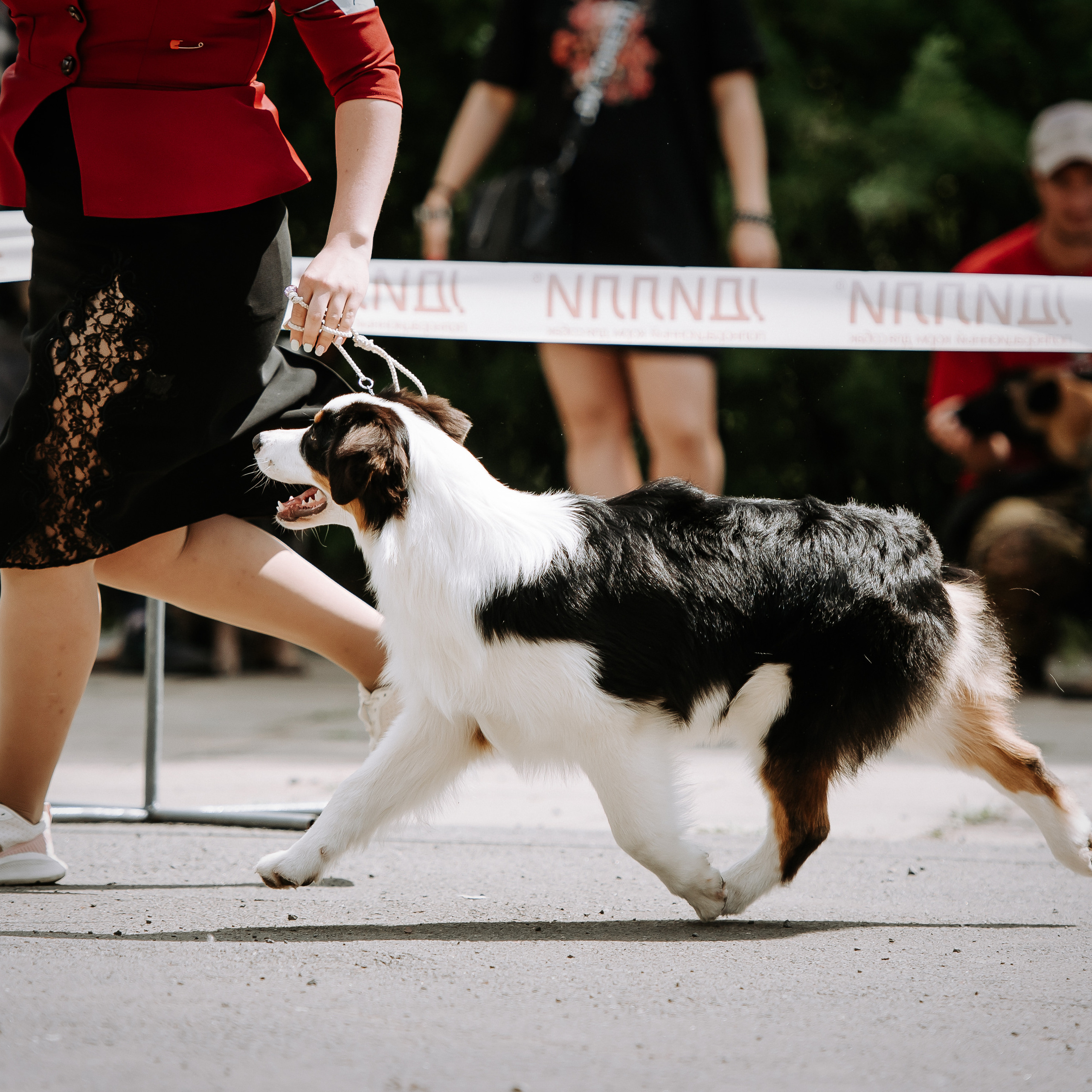 25 июня 2022 г. Братск БГОО КЛС Континенталь
