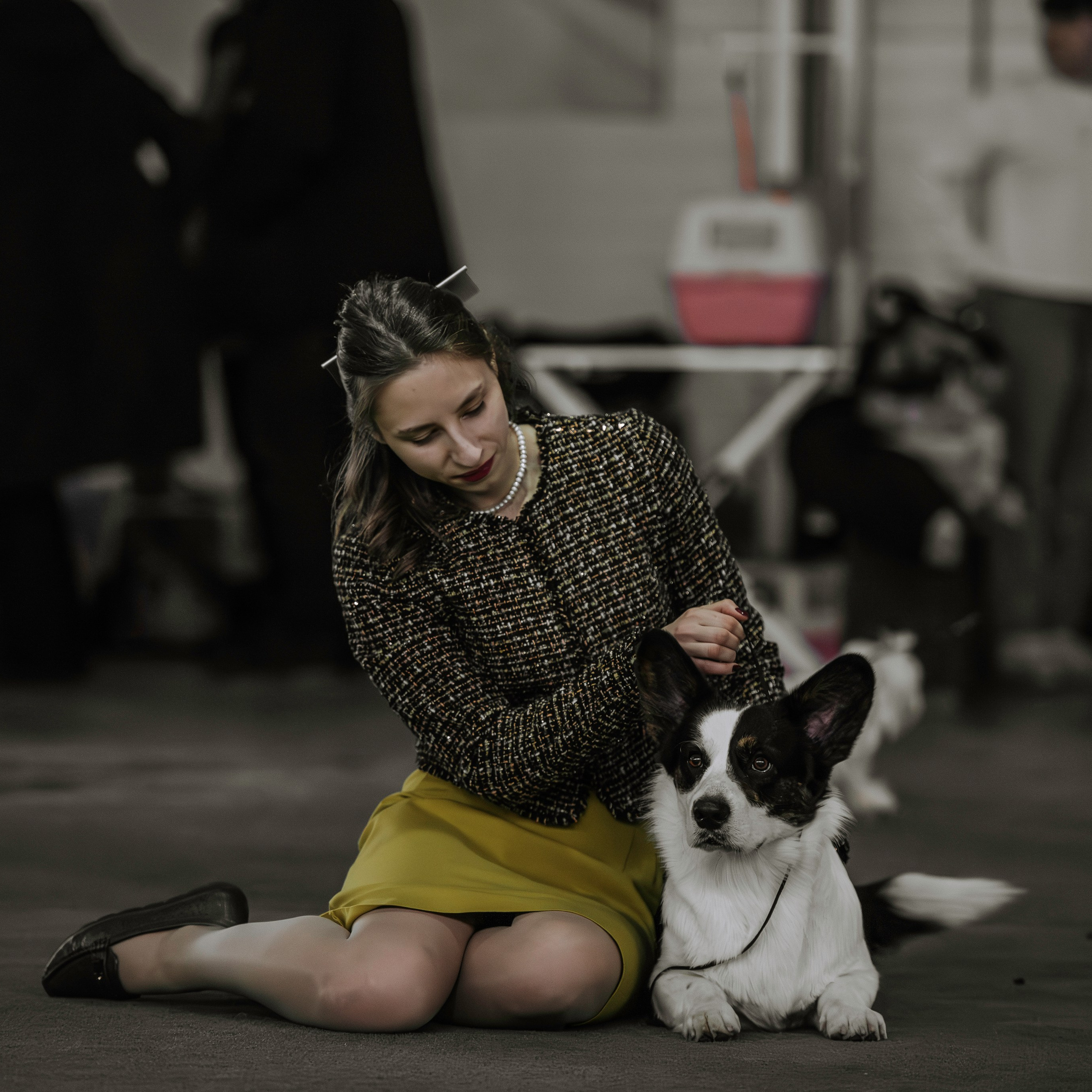 С выставок