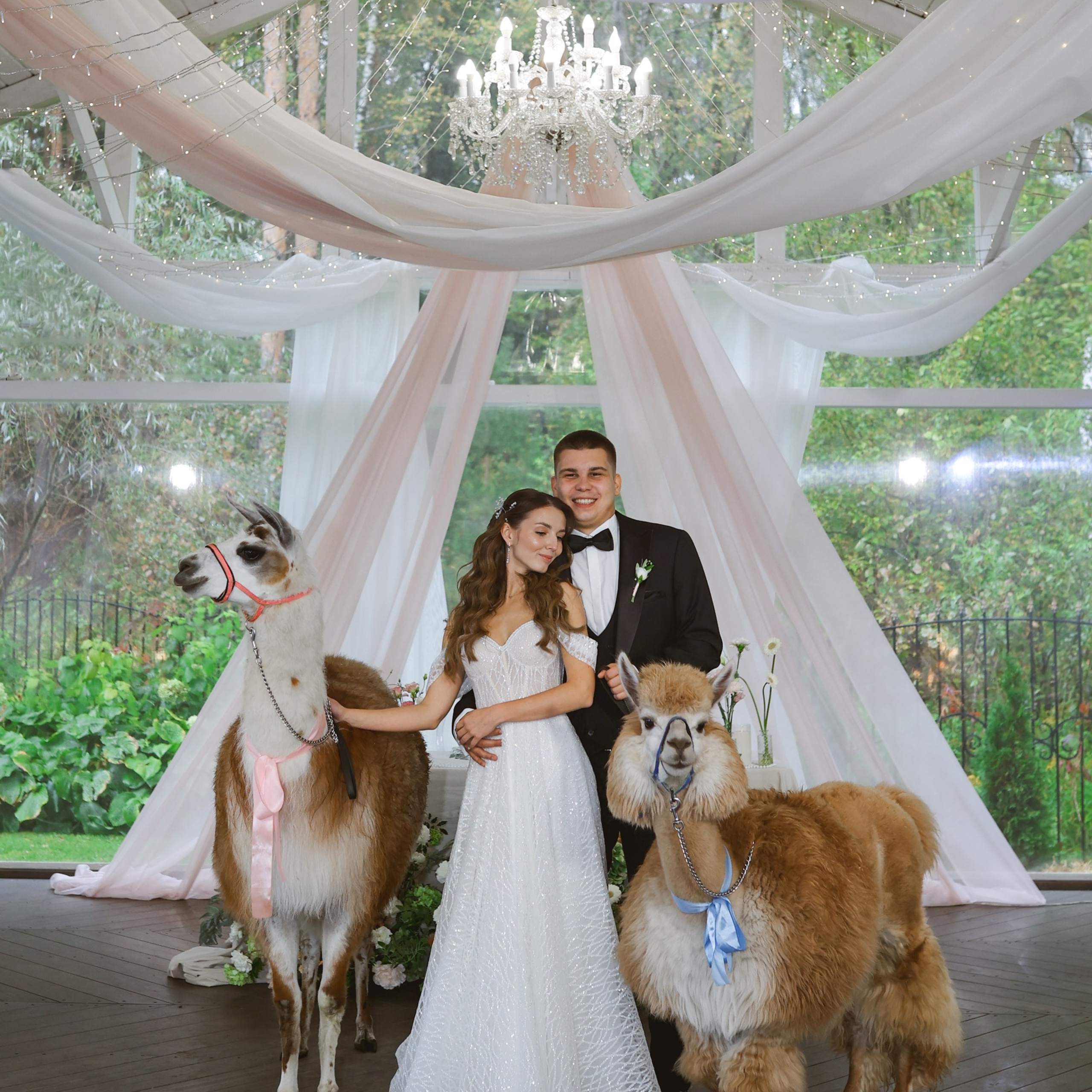 Зеленоградский ЗАГС