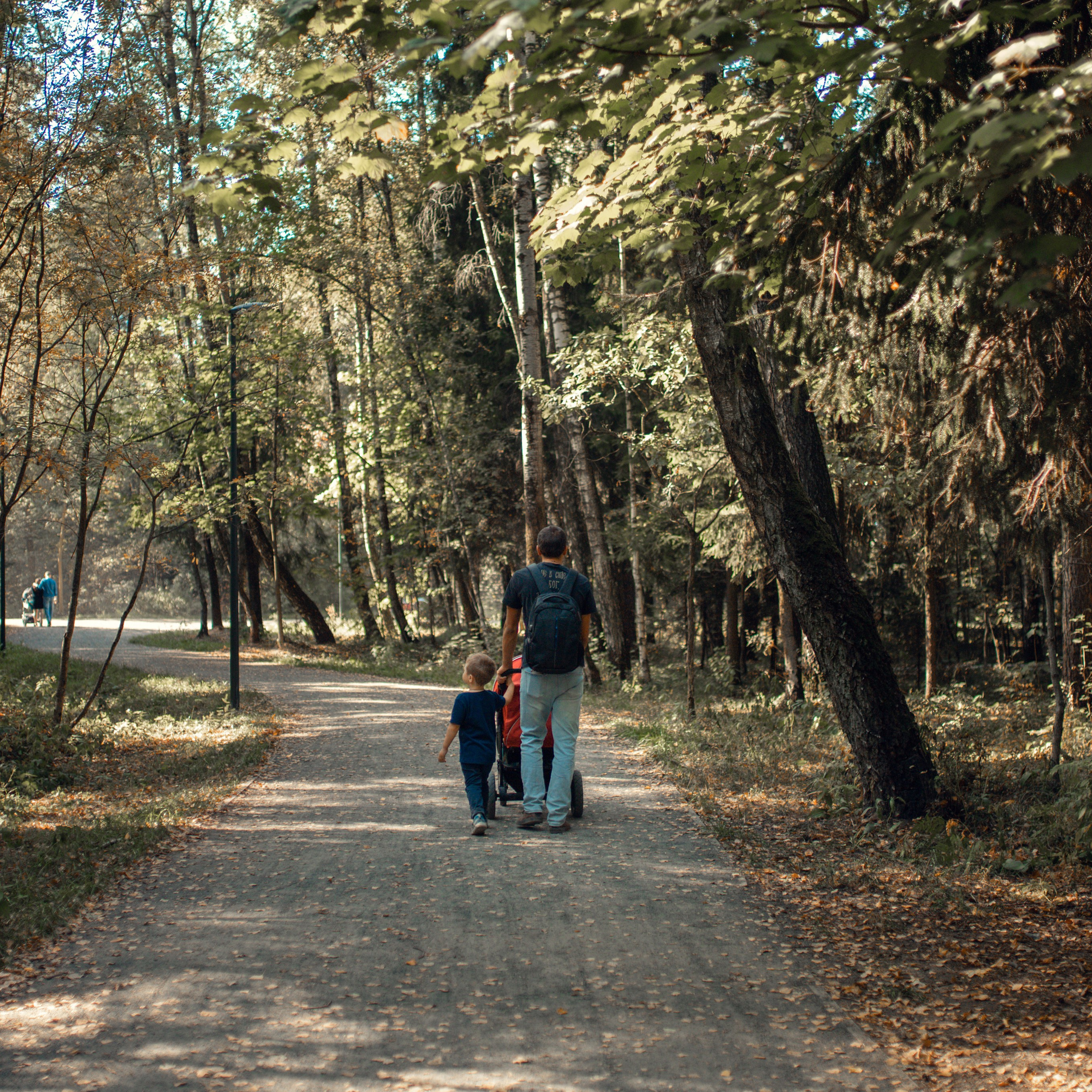 Обычная прогулка отца с детьми, Ольгинский лесопарк, Балашиха