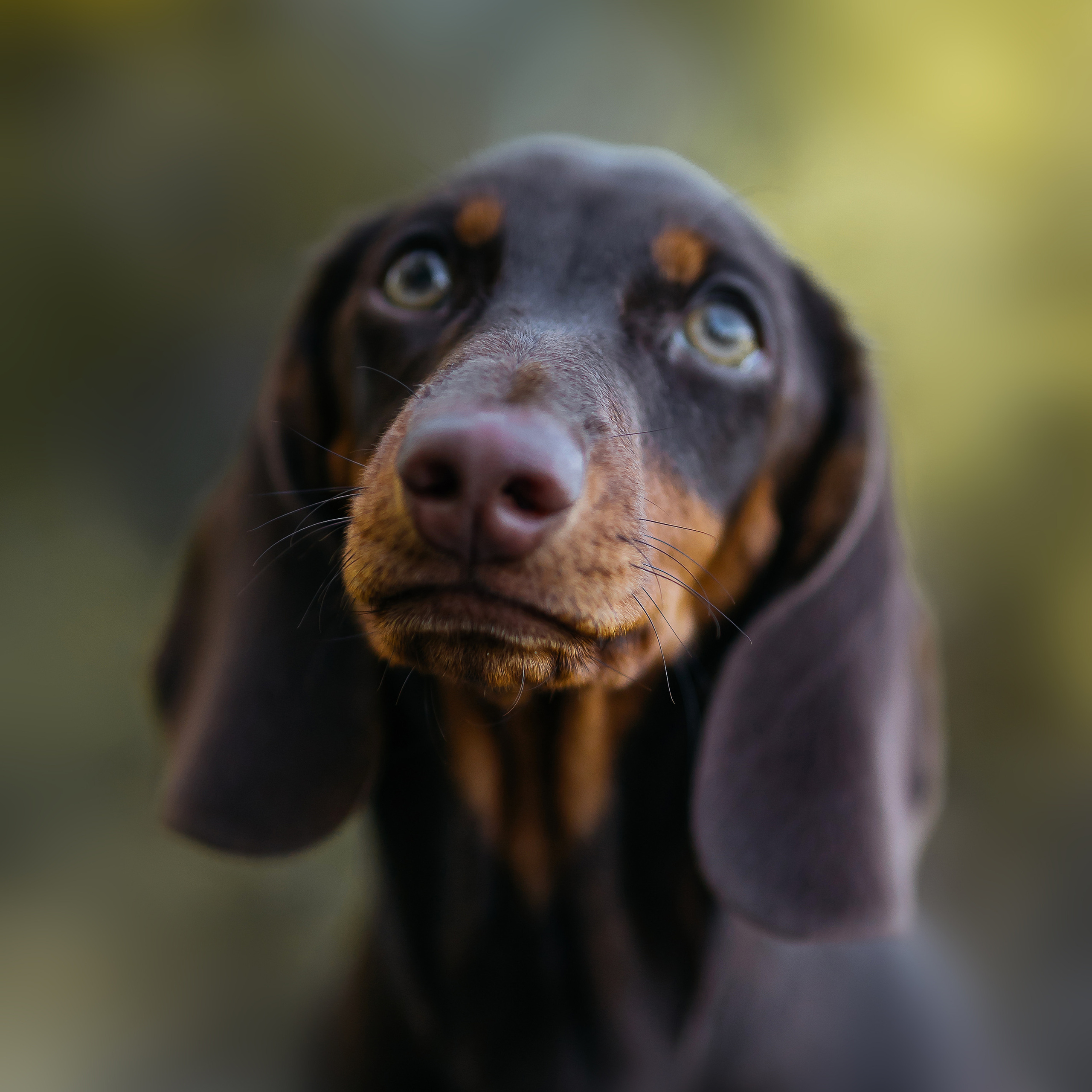 Отзывы. Фотограф в Твери и Бежецке Ирина Семенова