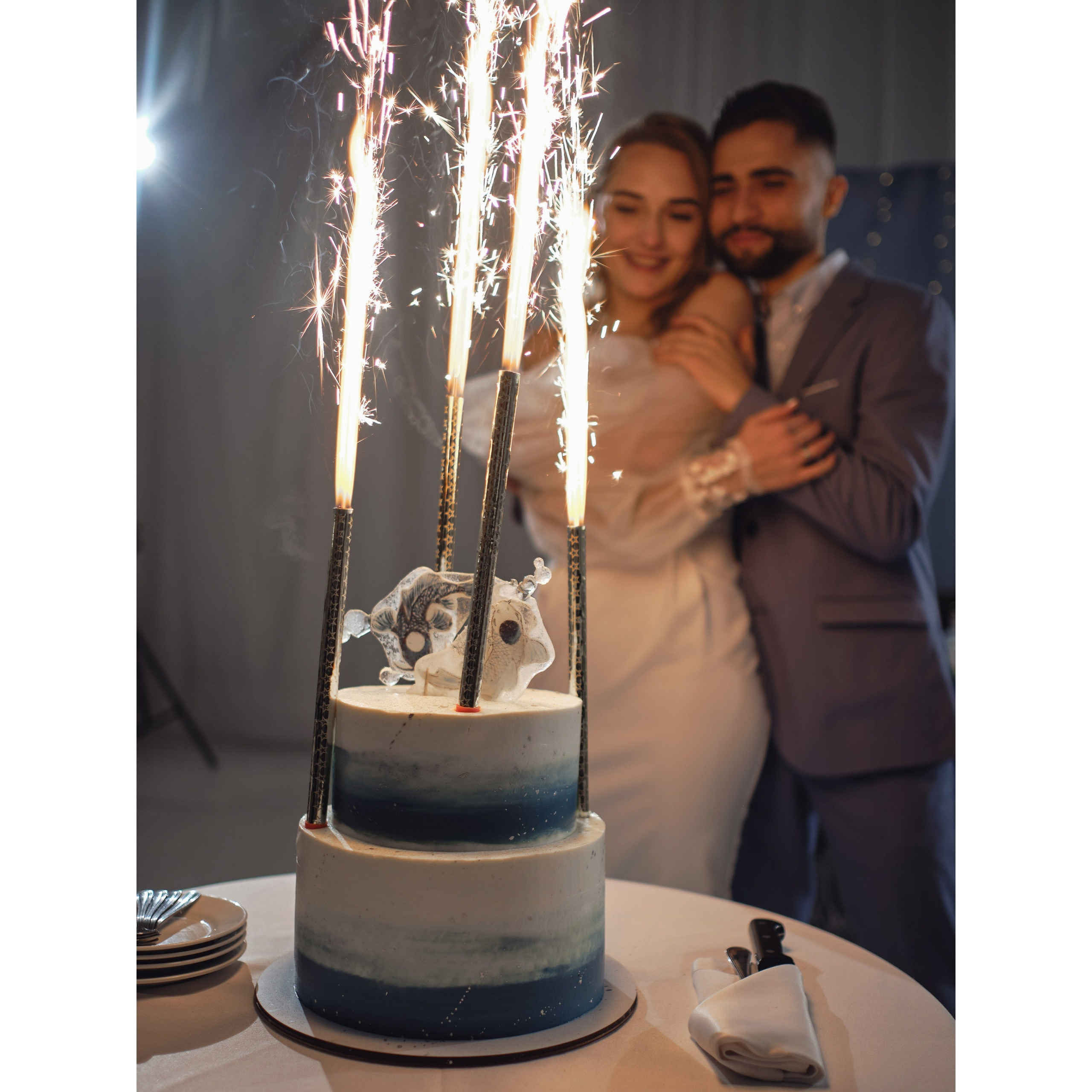 Фотографы Ботаника. Подрядчики и друзья сети свадебных площадок House for wedding