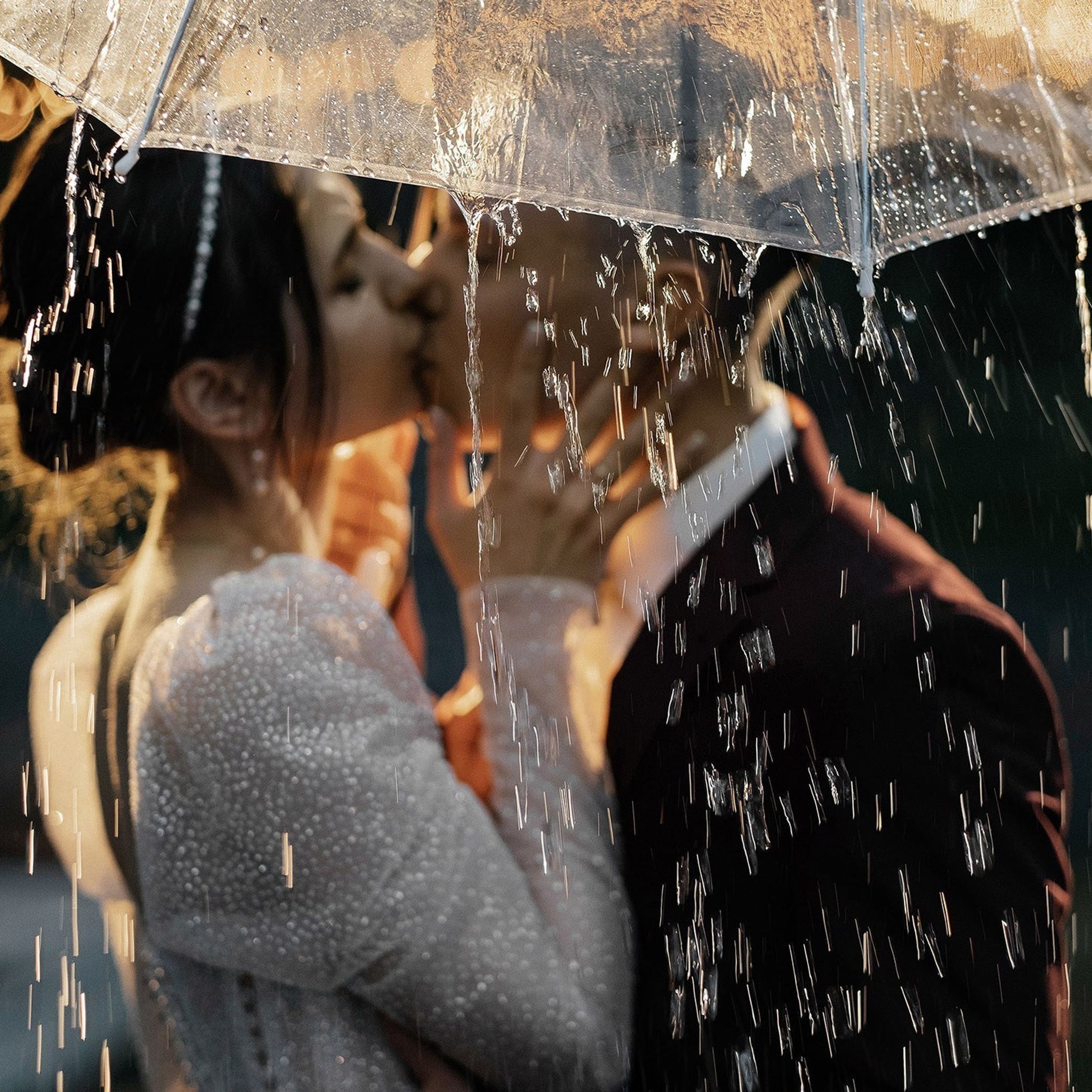 Фотографы Ботаника. Подрядчики и друзья сети свадебных площадок House for wedding