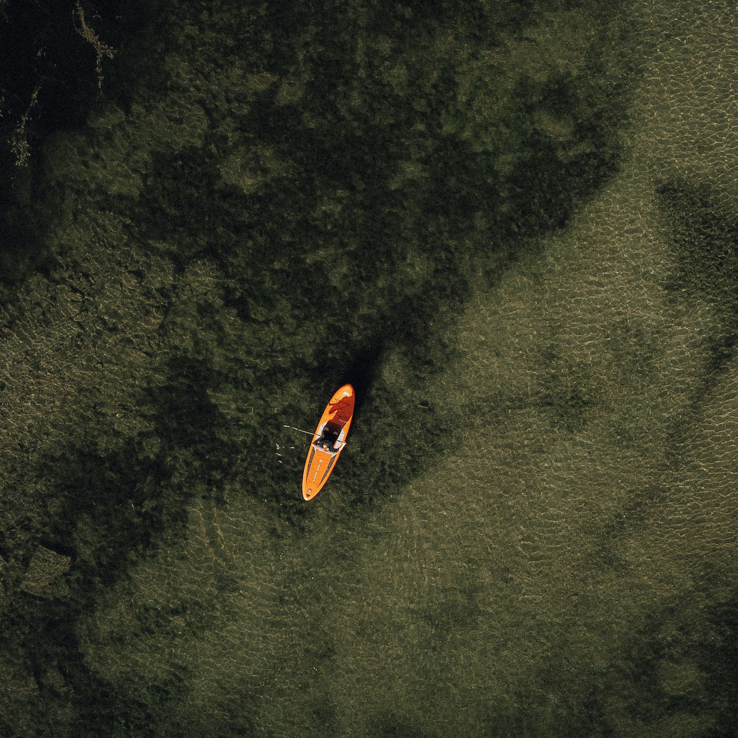 Отзывы. Семейный и детский фотограф в Санкт-Петербурге «Chilik»