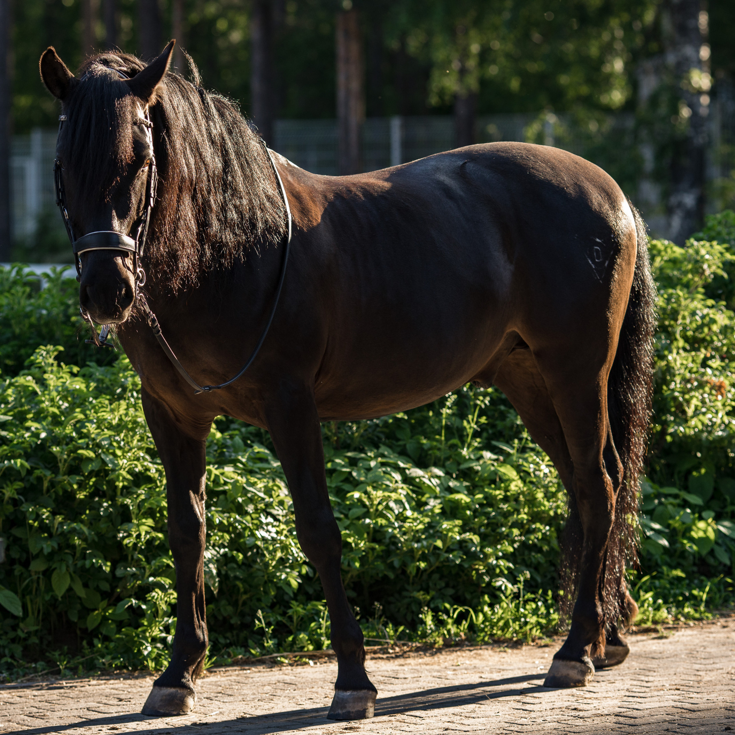 Отзывы. Контент фотограф в Санкт-Петербурге Елена Кегель