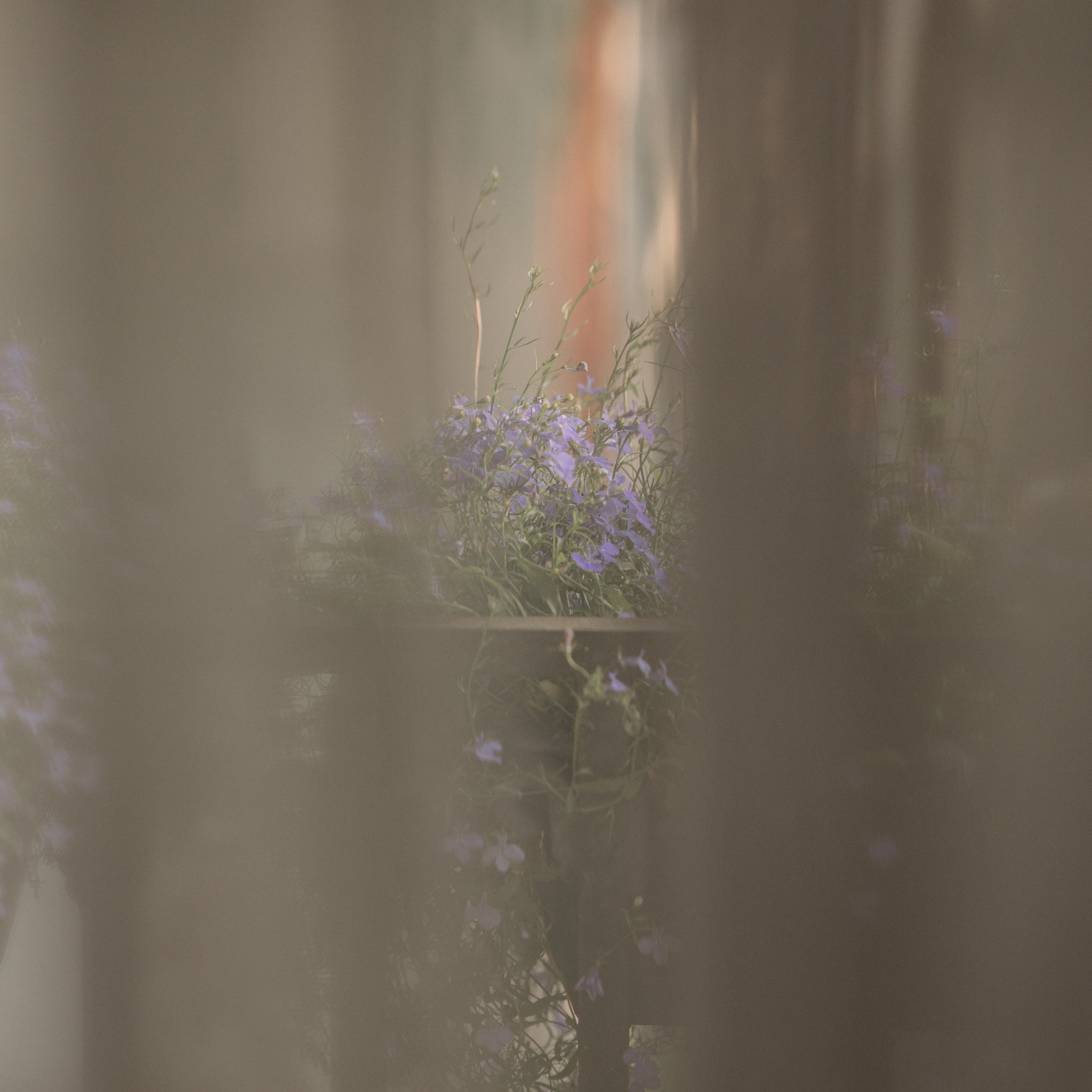 Отзывы. Контент фотограф в Санкт-Петербурге Елена Кегель