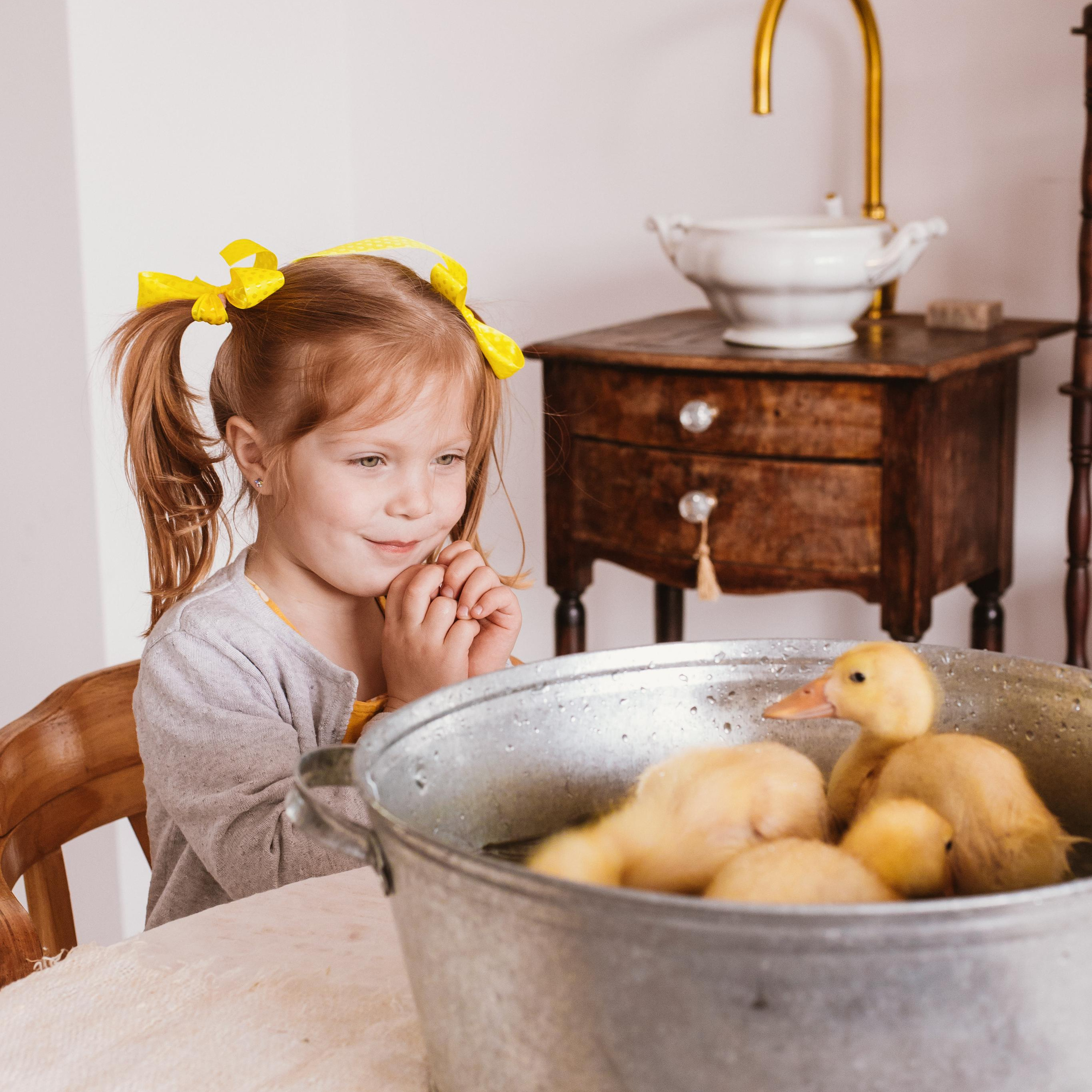 Весна и утята