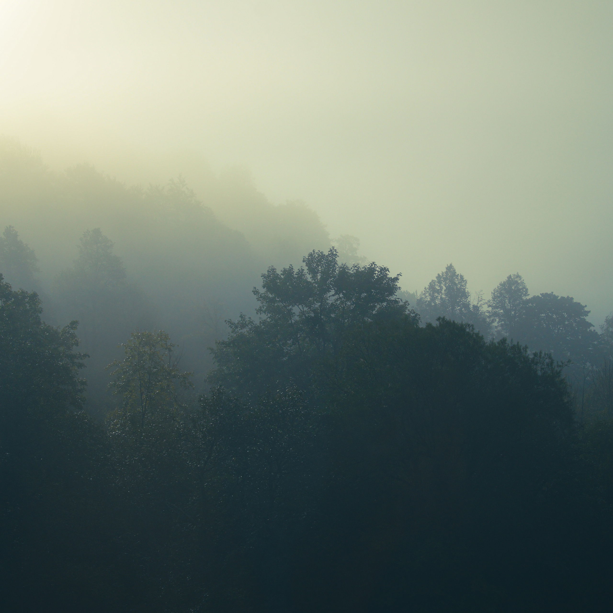 Черногория