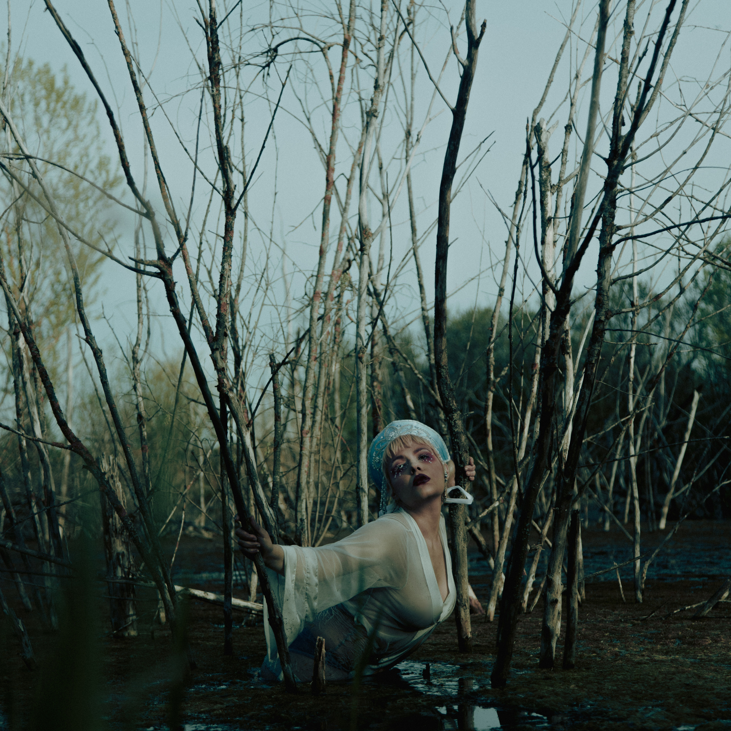 Кокошник в болоте